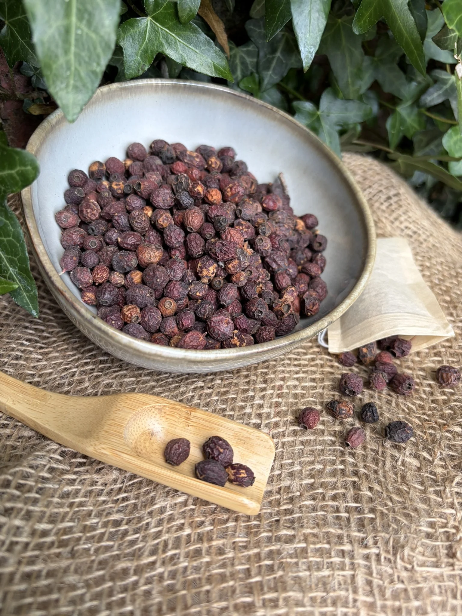 Hawthorn Berries (Crataegus monogyna)