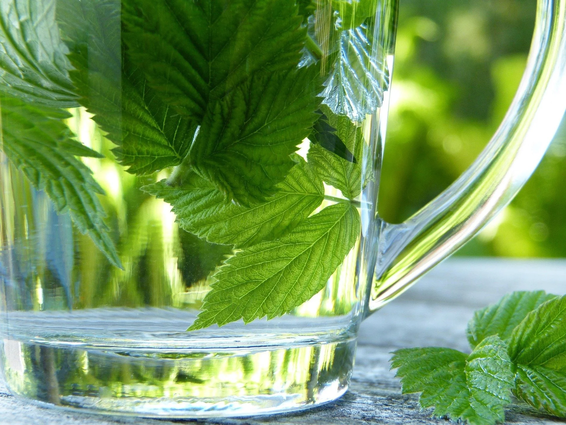 Detoxification Bundle