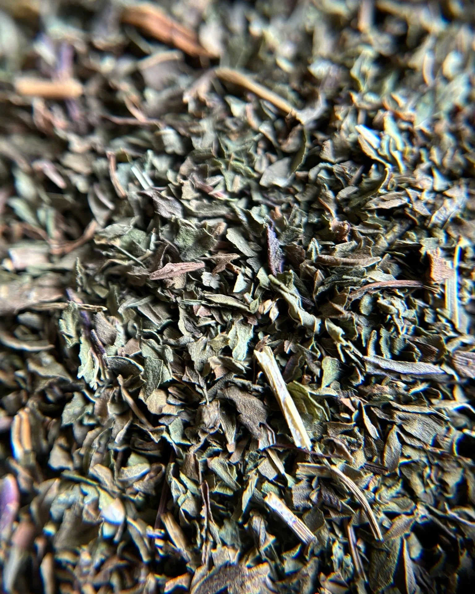 IMG_0391+-+Peppermint+1.jpg