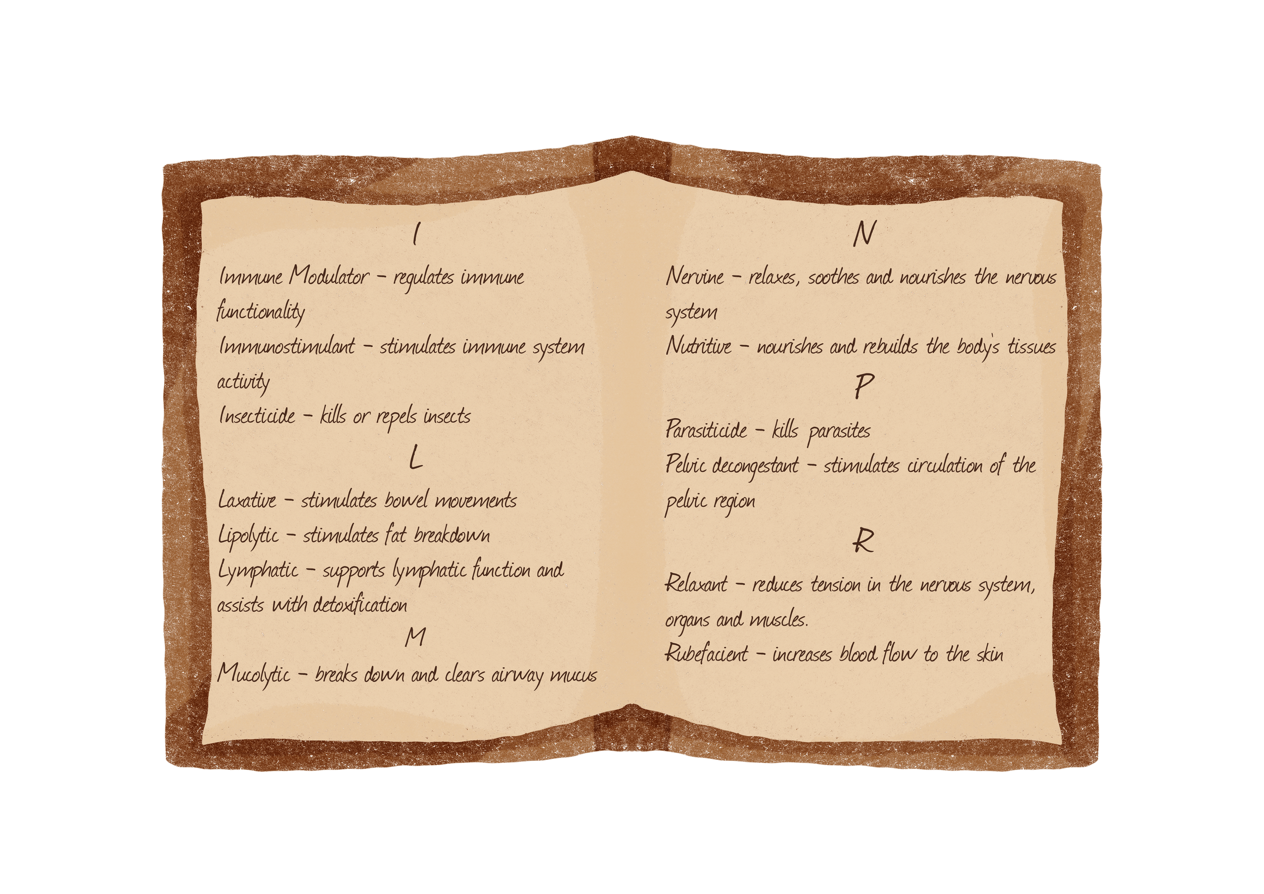 A handwritten list of medicinal and health-related terms and their descriptions on a parchment-like background.