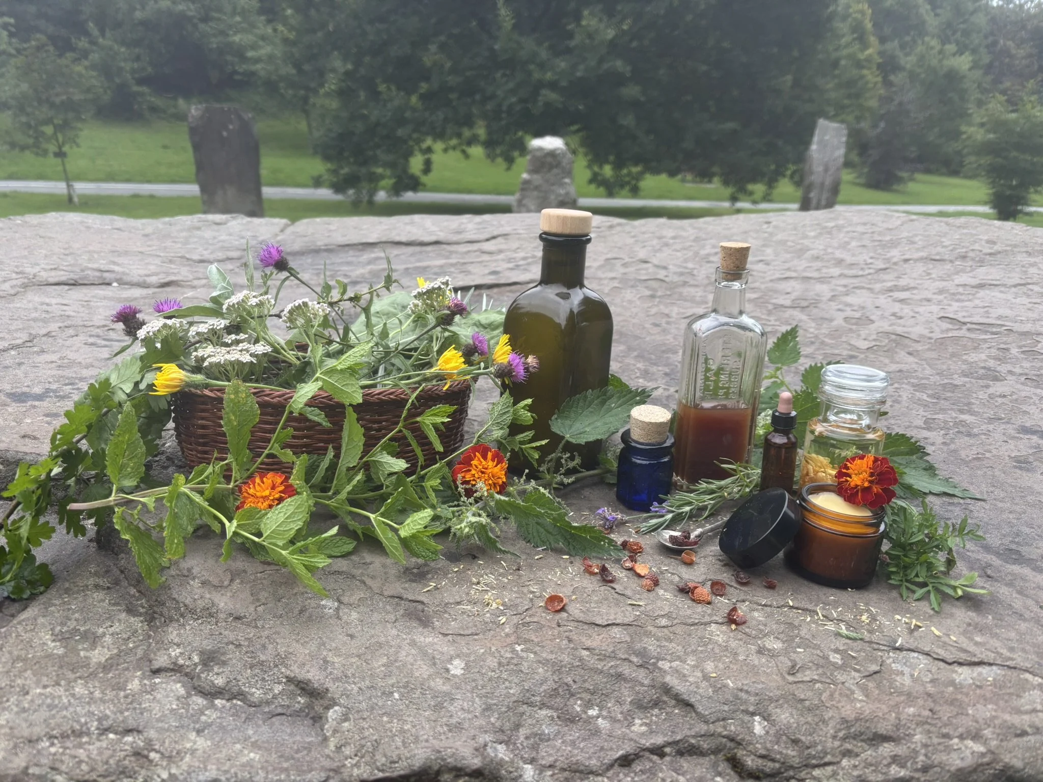 Hedgerow Healing Kit