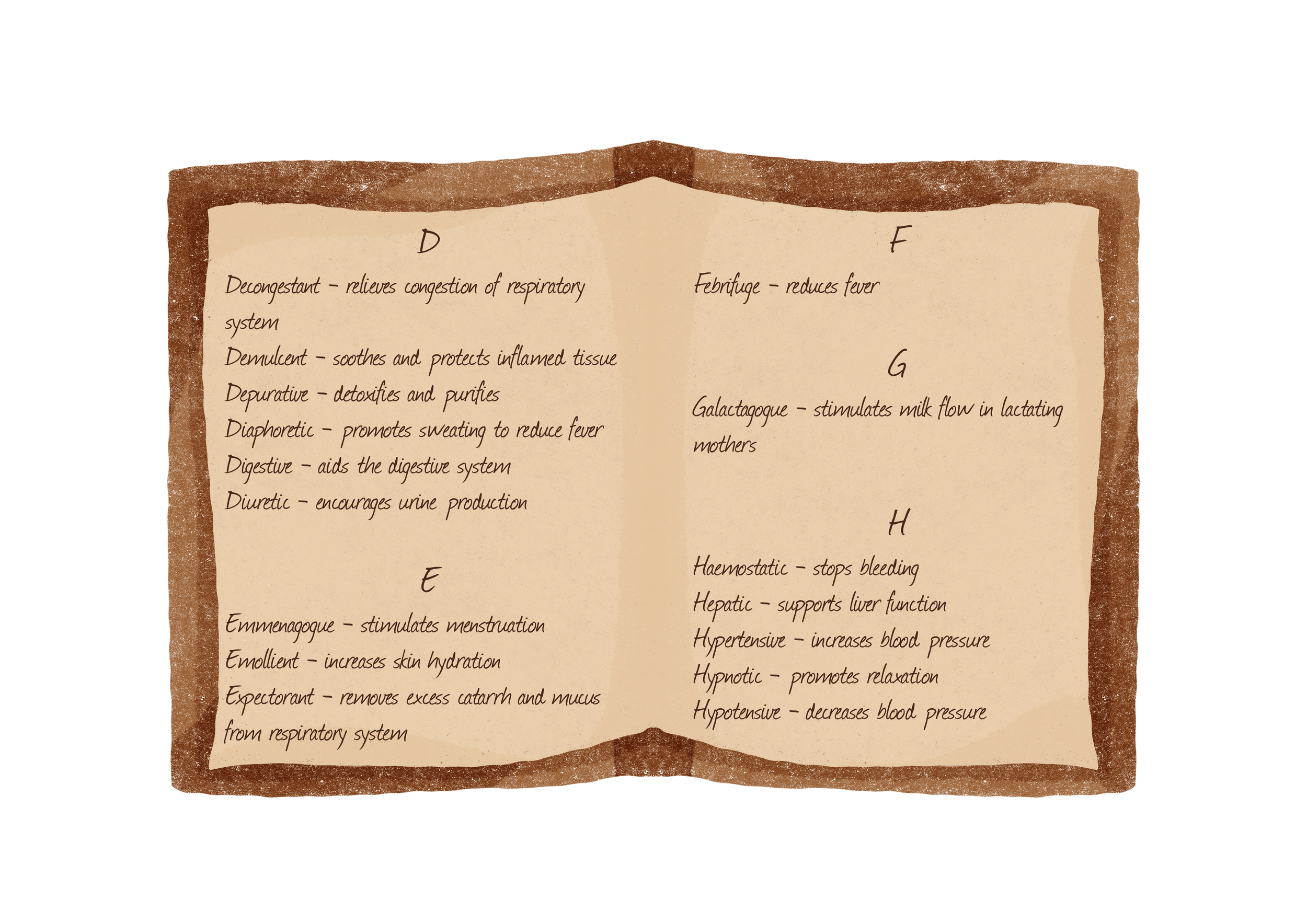 An open notebook or manuscript with handwritten notes about various medicinal herbs and their uses, including descriptions and therapeutic effects.