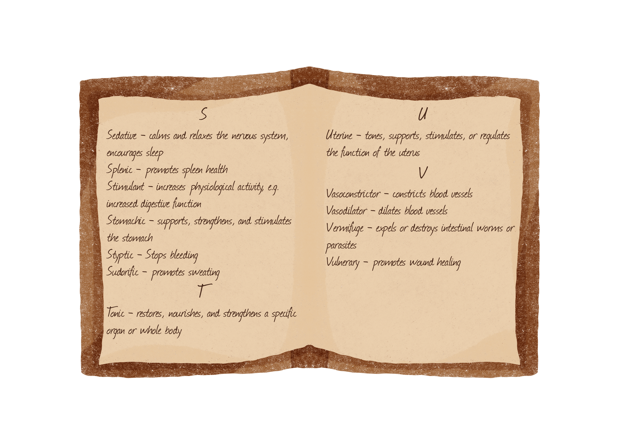 Photograph of an open handwritten herbal notebook page with lists and descriptions of various health-related herbs and their effects.