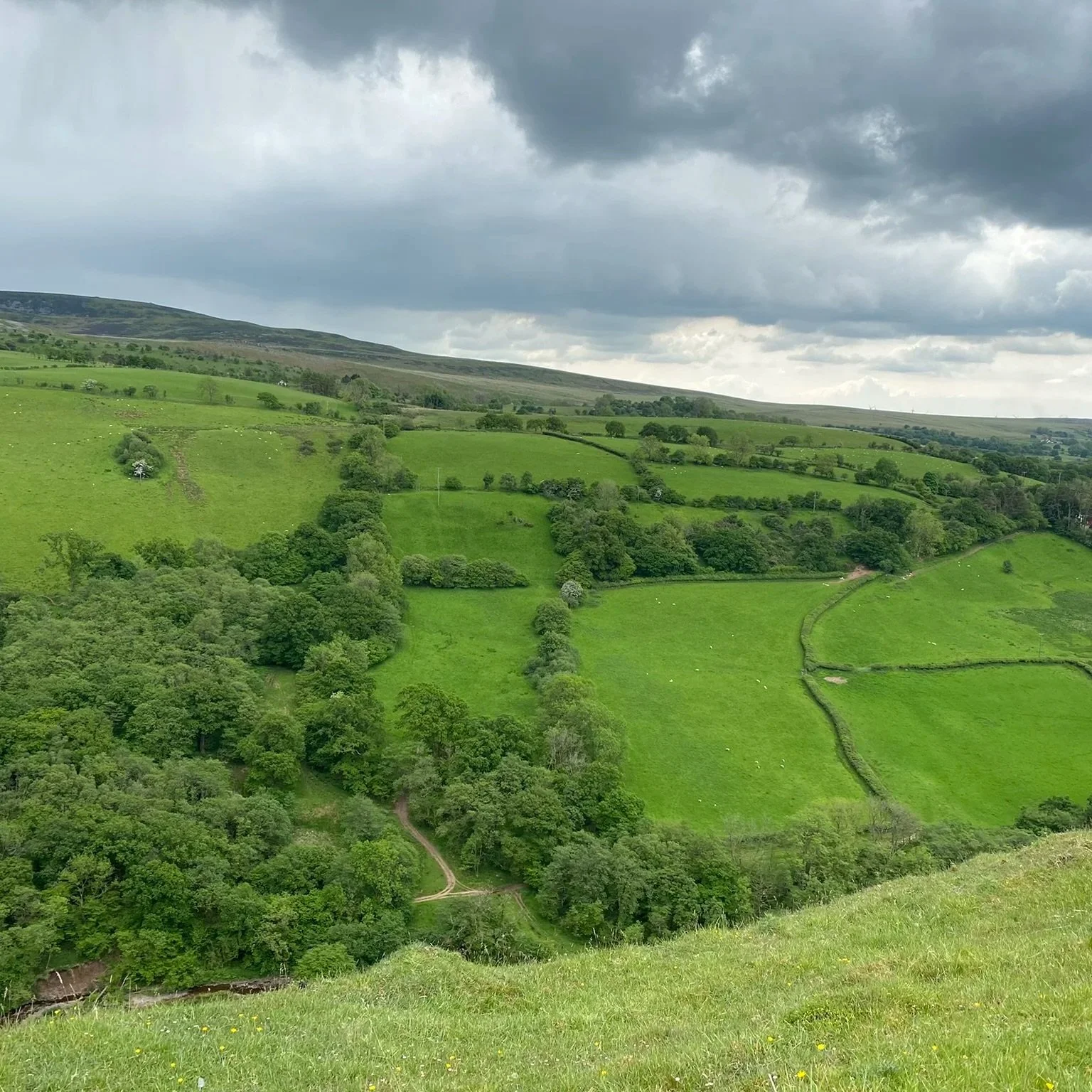 Welsh countryside landscape — the natural home of The Celtic Apothecary's herbal heritage