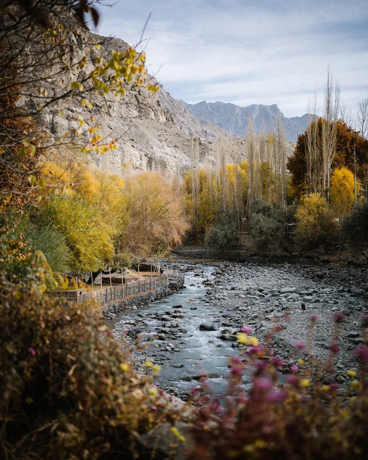 A scenic view of a mountain river flowing through a forest with autumn-colored leaves and mountains in the background.