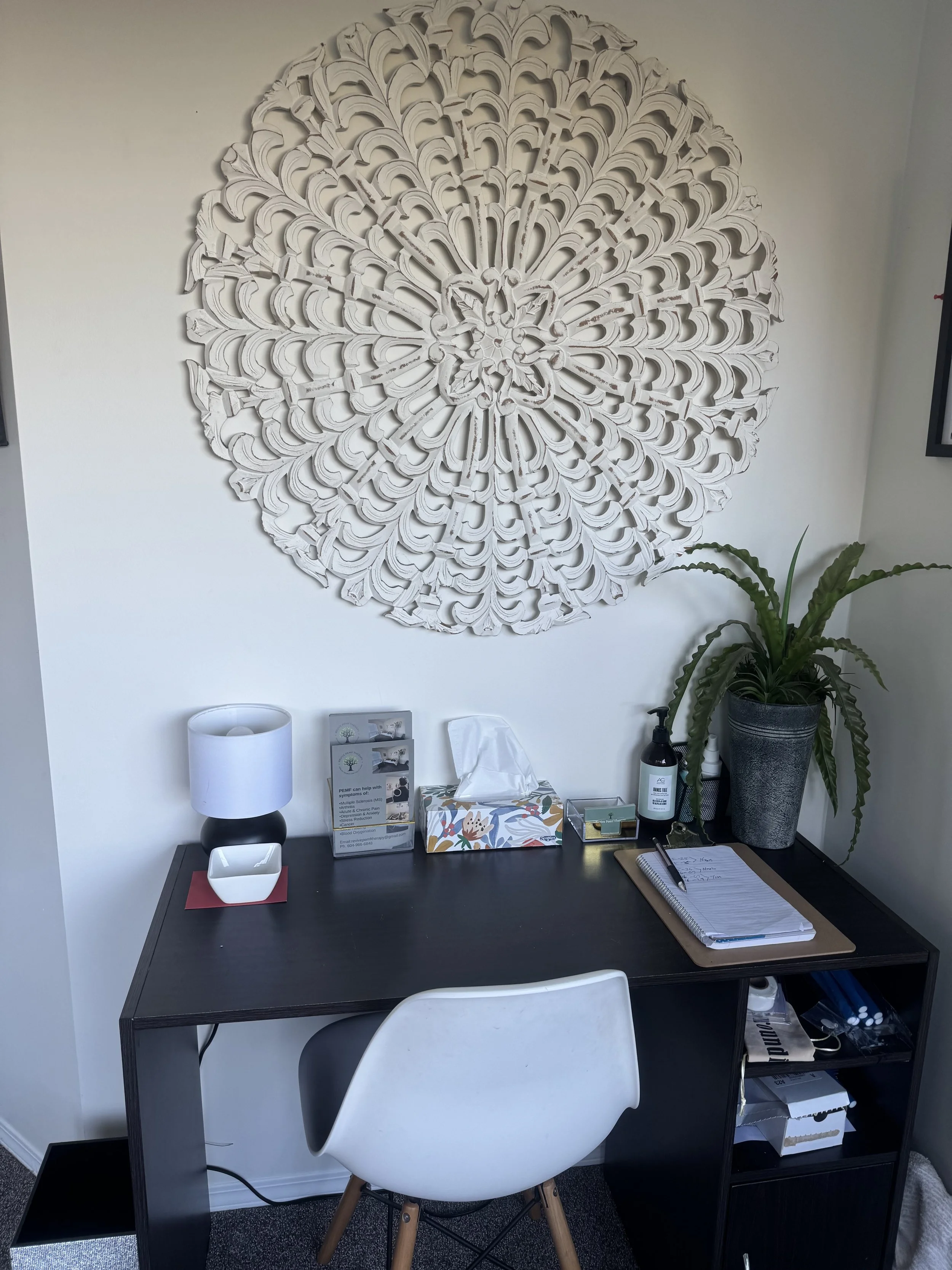 PEMF therapy services, PEMF therapy for recovery, PEMF therapy sessions, PEMF therapy for pain relief, PEMF therapy for chronic pain, PEMF therapy for joint pain, PEMF therapy for inflammation, PEMF therapy for muscle recovery