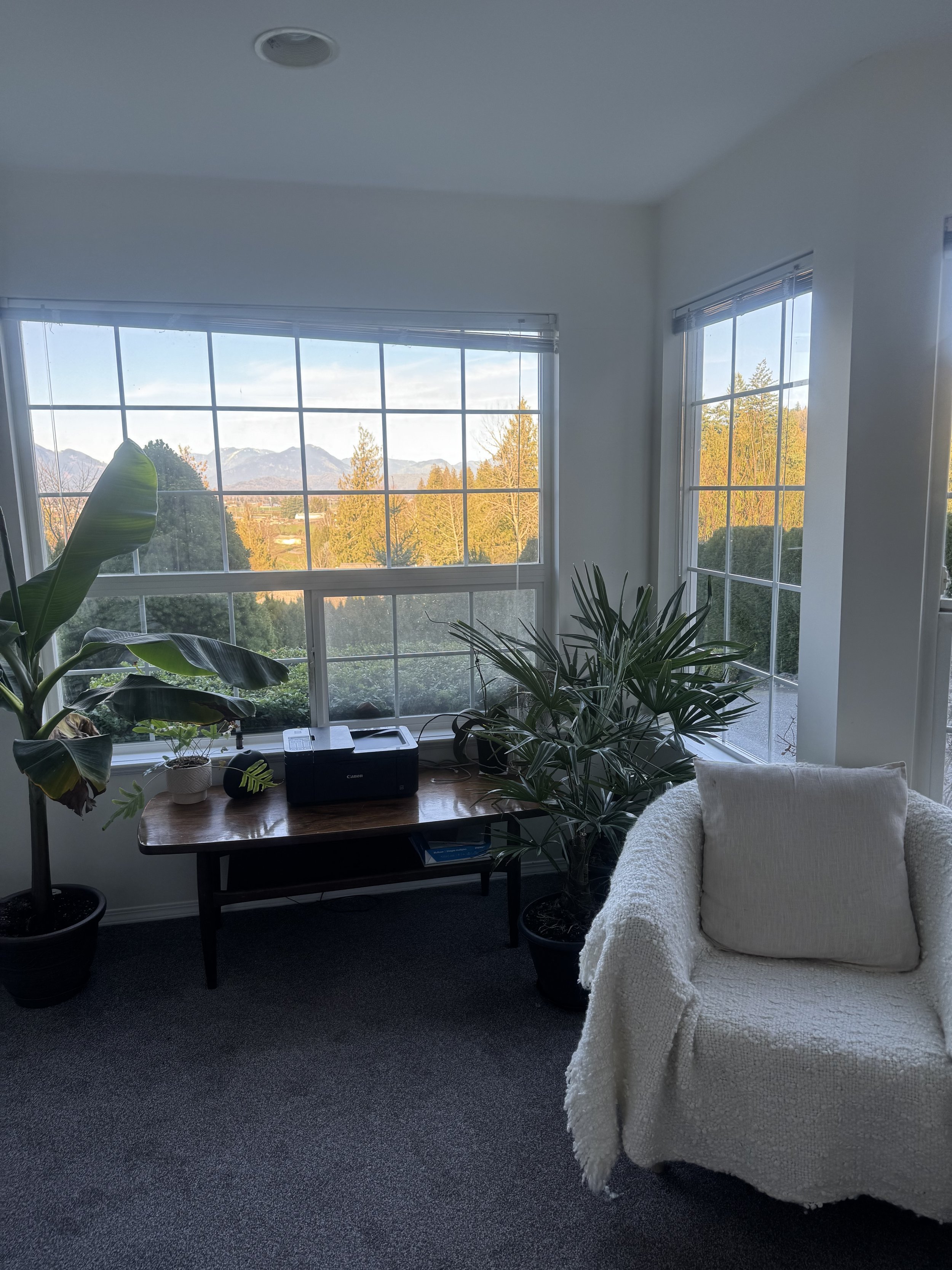 PEMF studio in Chilliwack BC, PEMF therapy for pain relief PEMF therapy for chronic pain PEMF therapy for joint pain PEMF therapy for inflammation