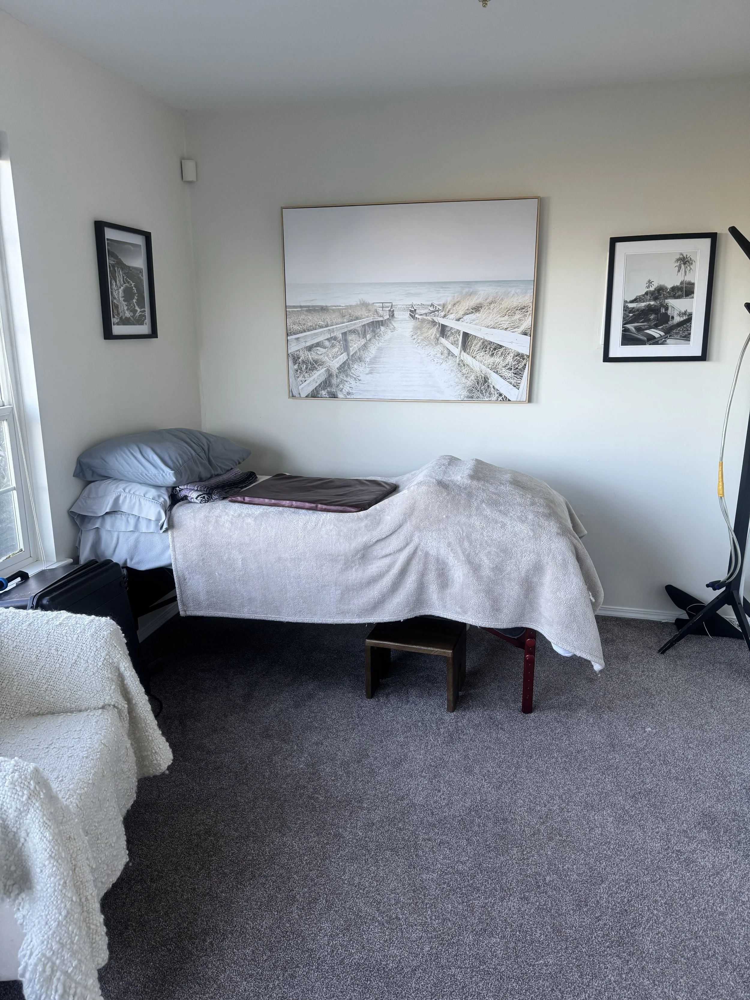 PEMF therapy, pulsed electromagnetic field therapy, PEMF treatment, PEMF therapy benefits, PEMF therapy near me, PEMF wellness therapy,