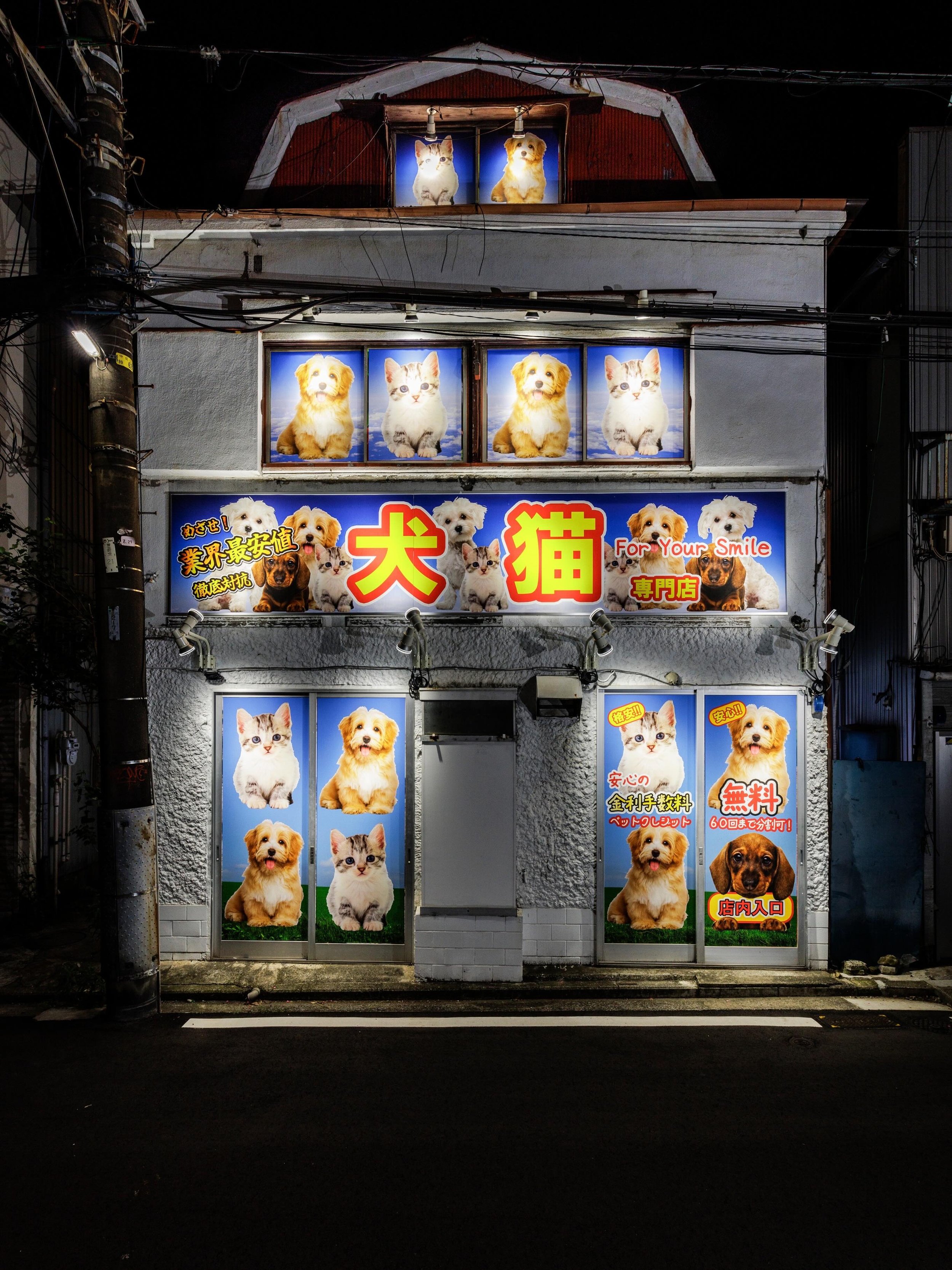The latest exhibition to open at the Richmond Art Gallery (@richmondartgallerybc) is &lsquo;Ongoing / Pacific Crossings.&rsquo; the culmination of a seven-year cultural exchange between the RAG, Tokyo&rsquo;s Art Center Ongoing (@artcenter_ongoing), 