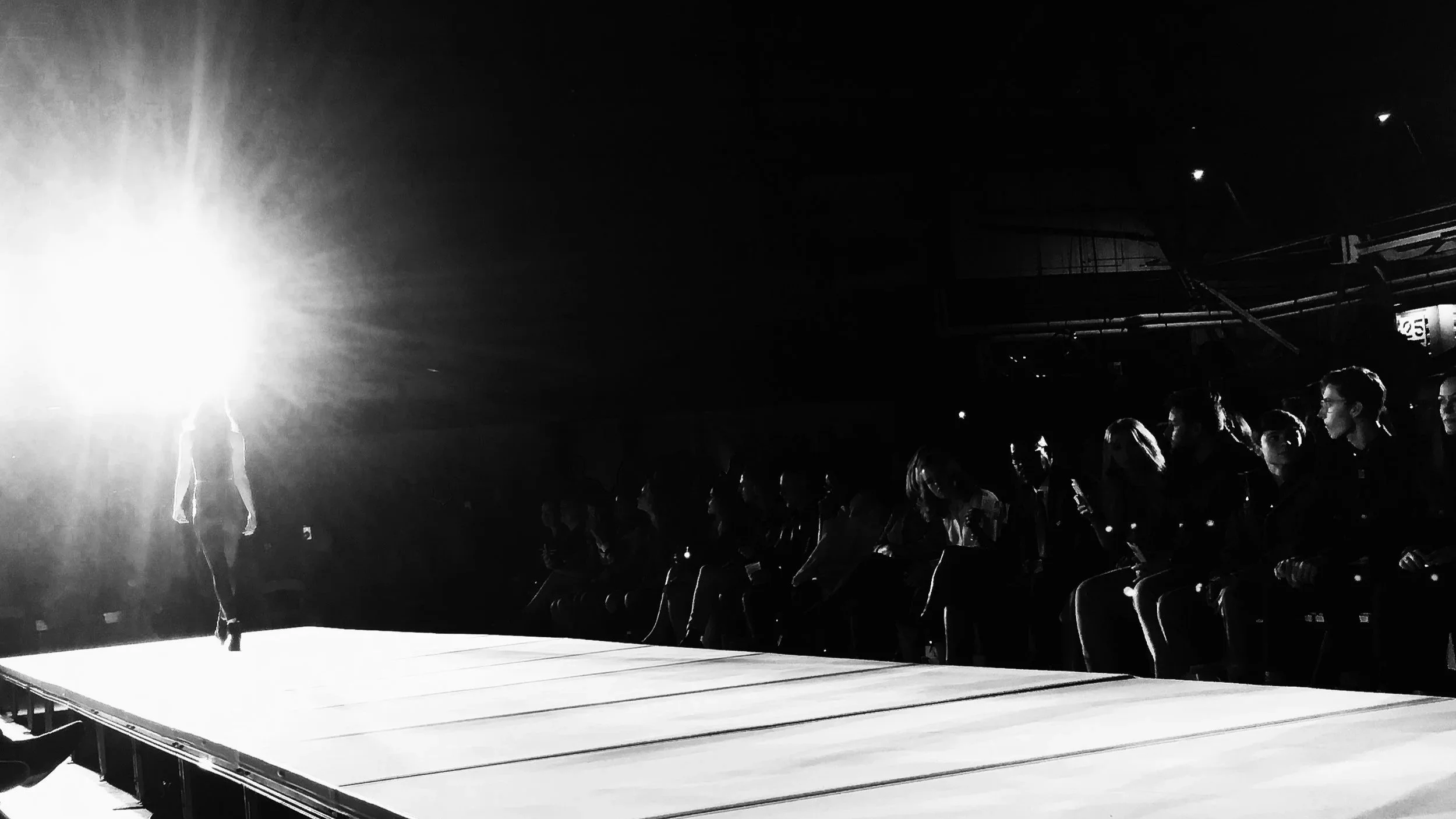 THE SPOTLIGHT
