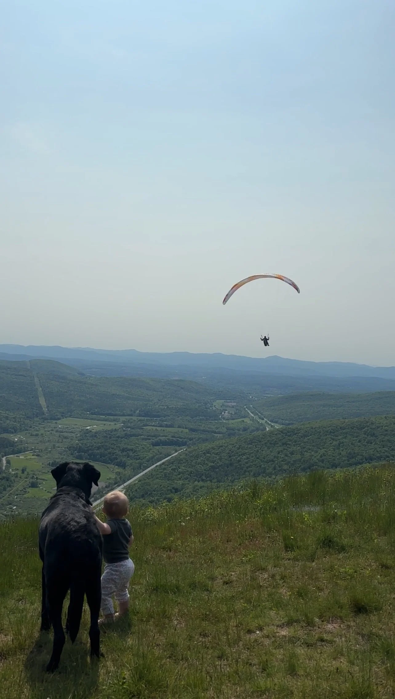 A young child and a large black dog watching a paraglider in midair over a lush green landscape.