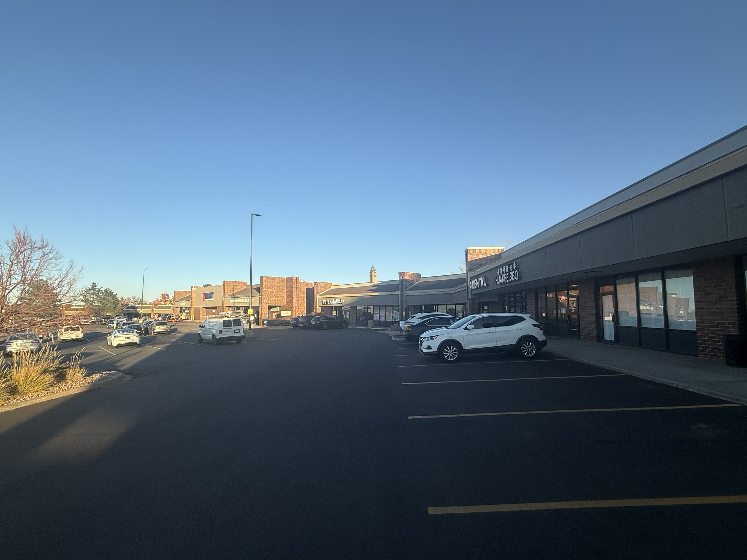 Parking lot outside a shopping center with several parked cars, including white and black vehicles, and storefronts such as a veterinarian clinic and a BBQ restaurant, under a clear blue sky.