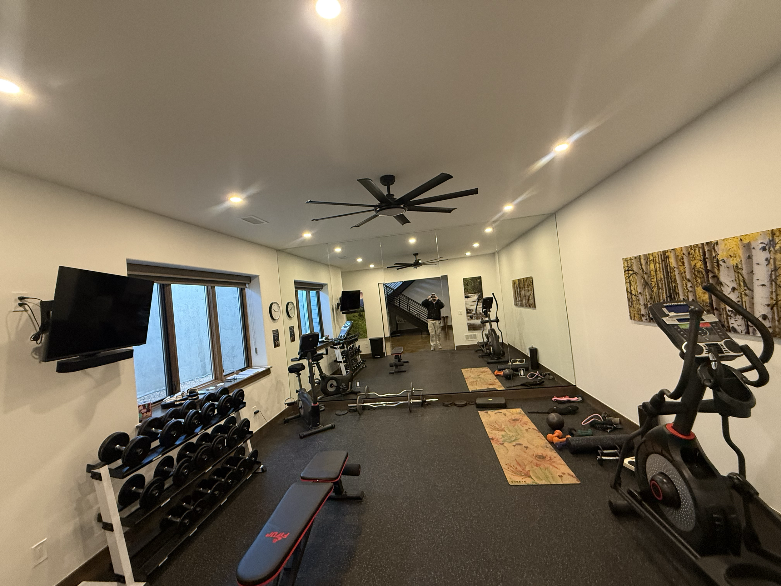 Home gym with various exercise equipment including dumbbells, a weight bench, an exercise bike, an elliptical, and pull-up bars, with a mirrored wall and wall art of trees, and windows letting in natural light.