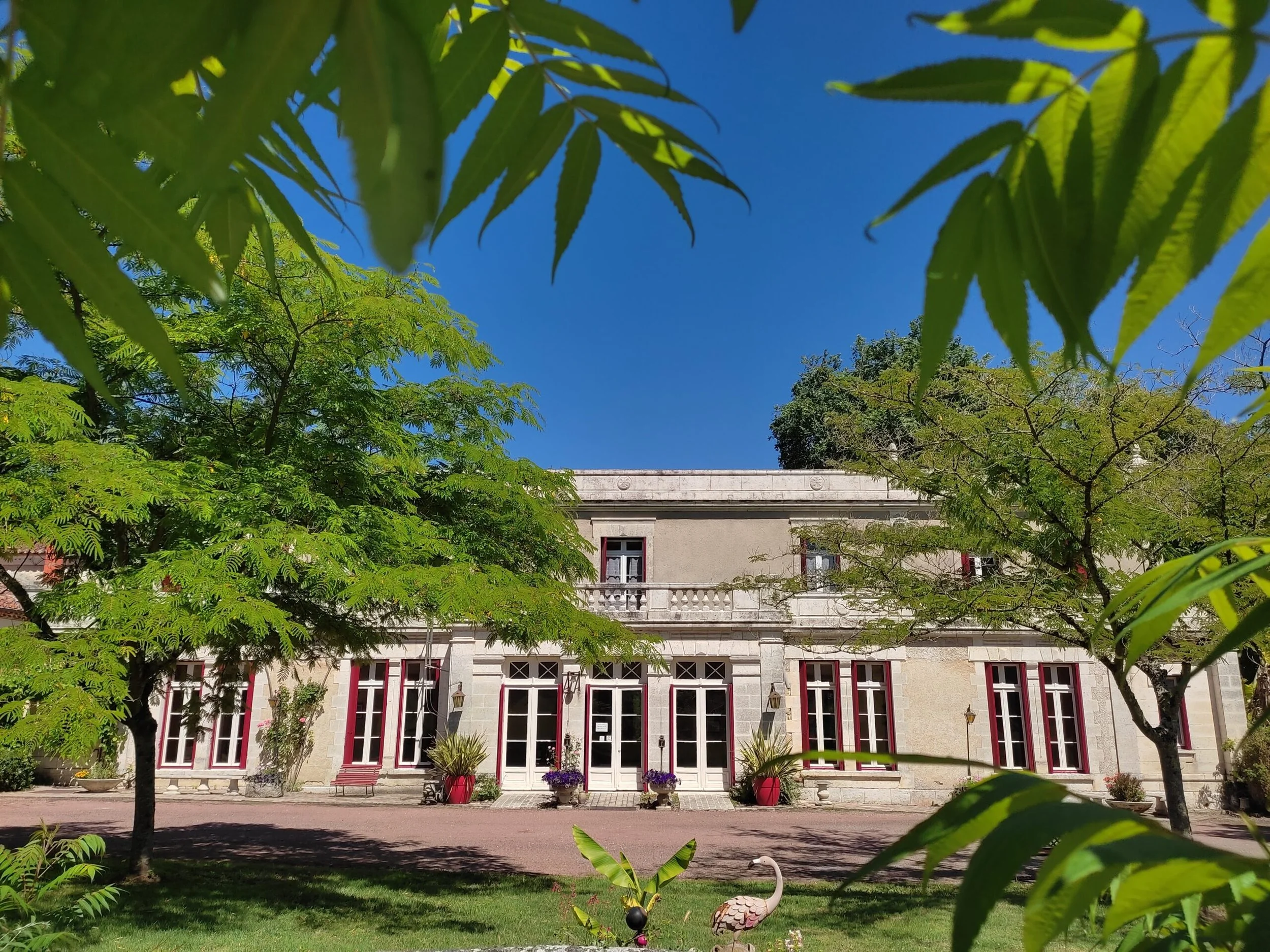 12 pers of meer, 6 kamers, misschien volledig af te huren zonder ontbijt