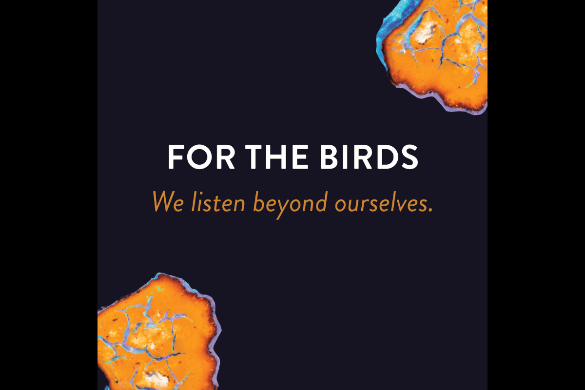 RESONANCE ENSEMBLE | FOR THE BIRDS