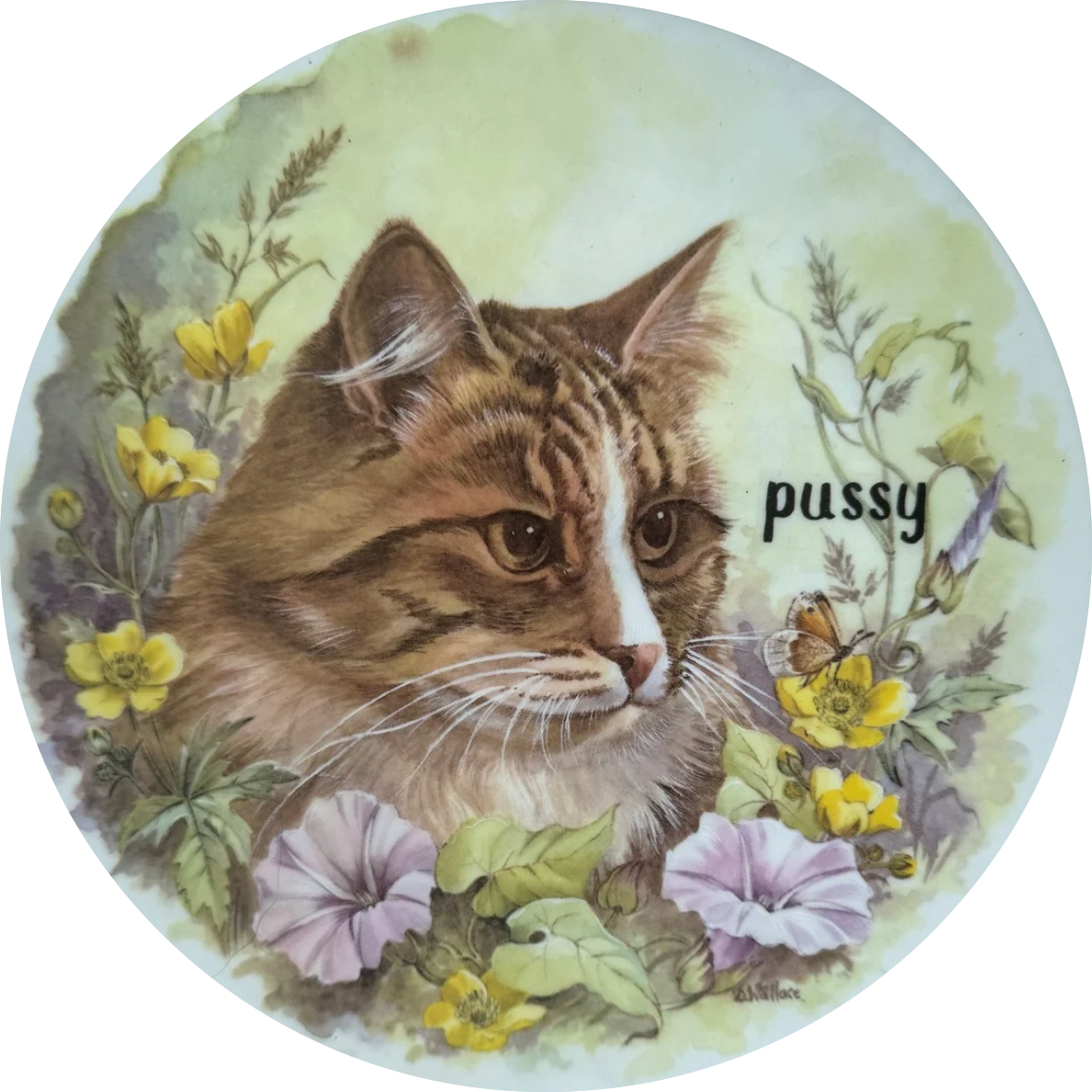 Copy of Copy of Copy of Untitled.png