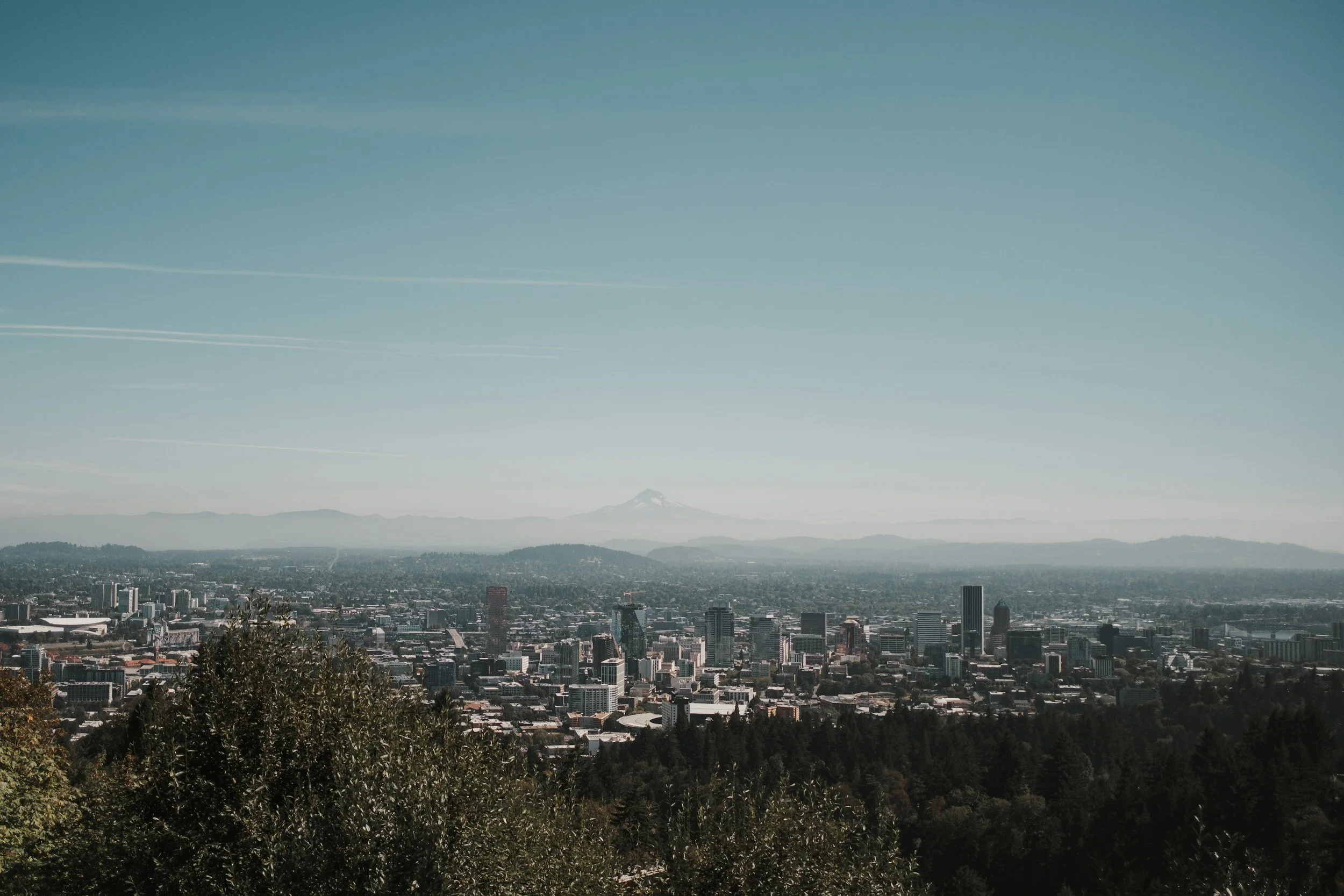 Downtown Portland: A panoramic view of a city skyline with tall buildings, a forested area in the foreground, and a snow-capped mountain in the distance under a clear blue sky.