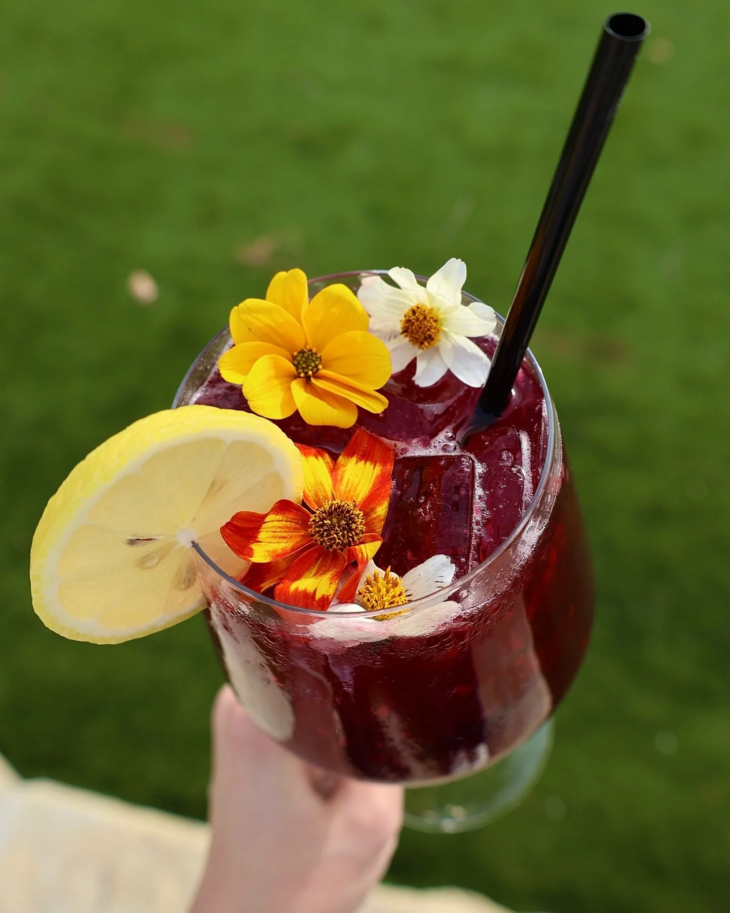 Come and grab a drink with us this week at Riverdance! 🥂

Experience breathtaking mountain views, a full brewery, a two-sided bar, and indoor-outdoor seating designed for an unforgettable dining experience.

🥂Featured Cocktails
~ Riverdance Sangria