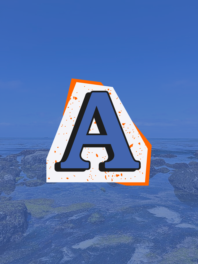 Adult Coastal Immersion (18+)