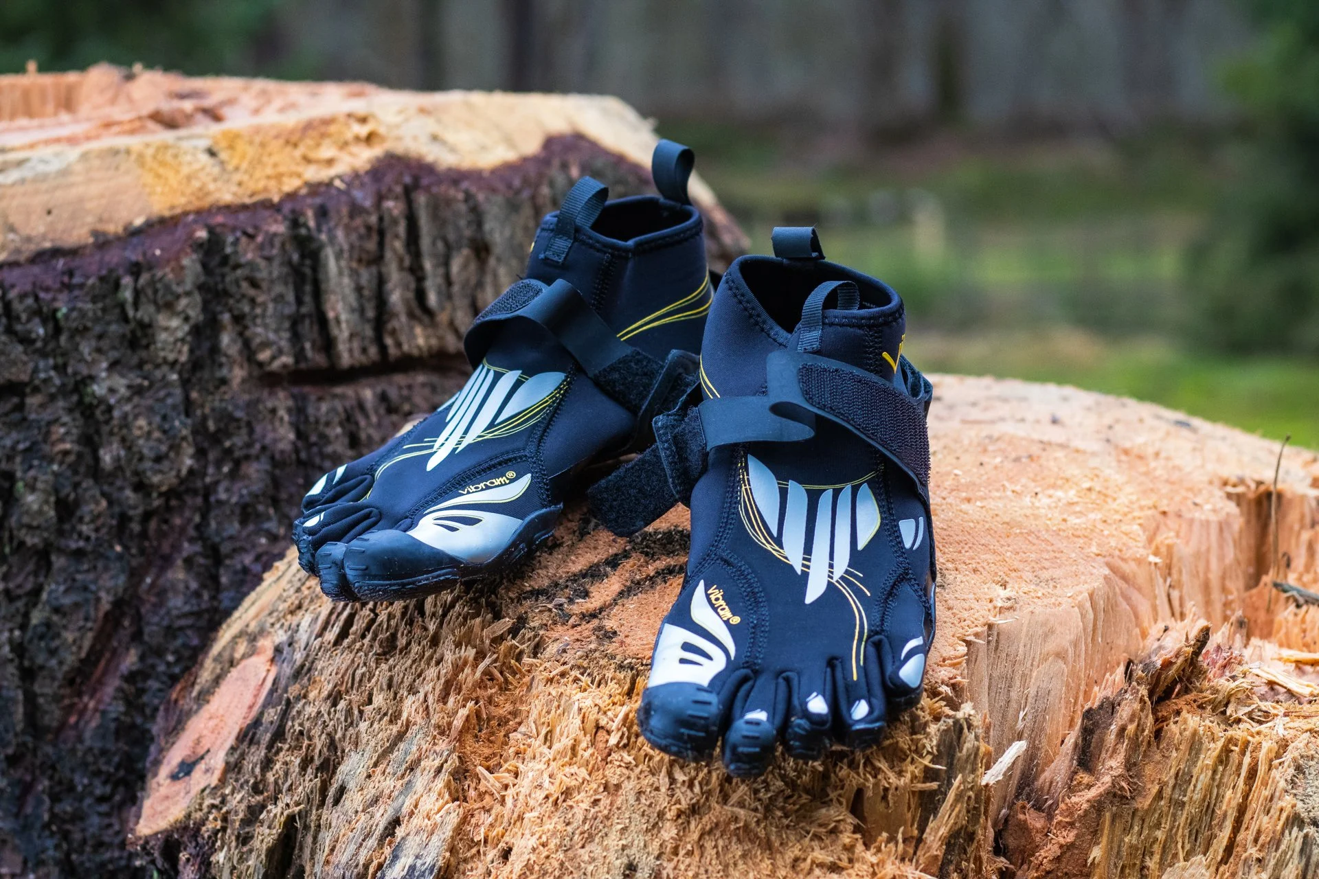 a pair of black and yellow toe shoes resting on a large tree stump outdoors in a forest setting