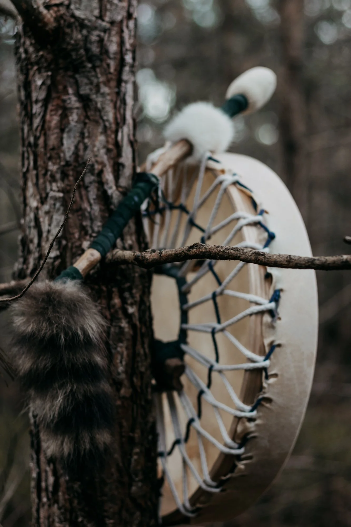 Een close-up van een indiaanse trommel die hangt aan een tak van een boom.