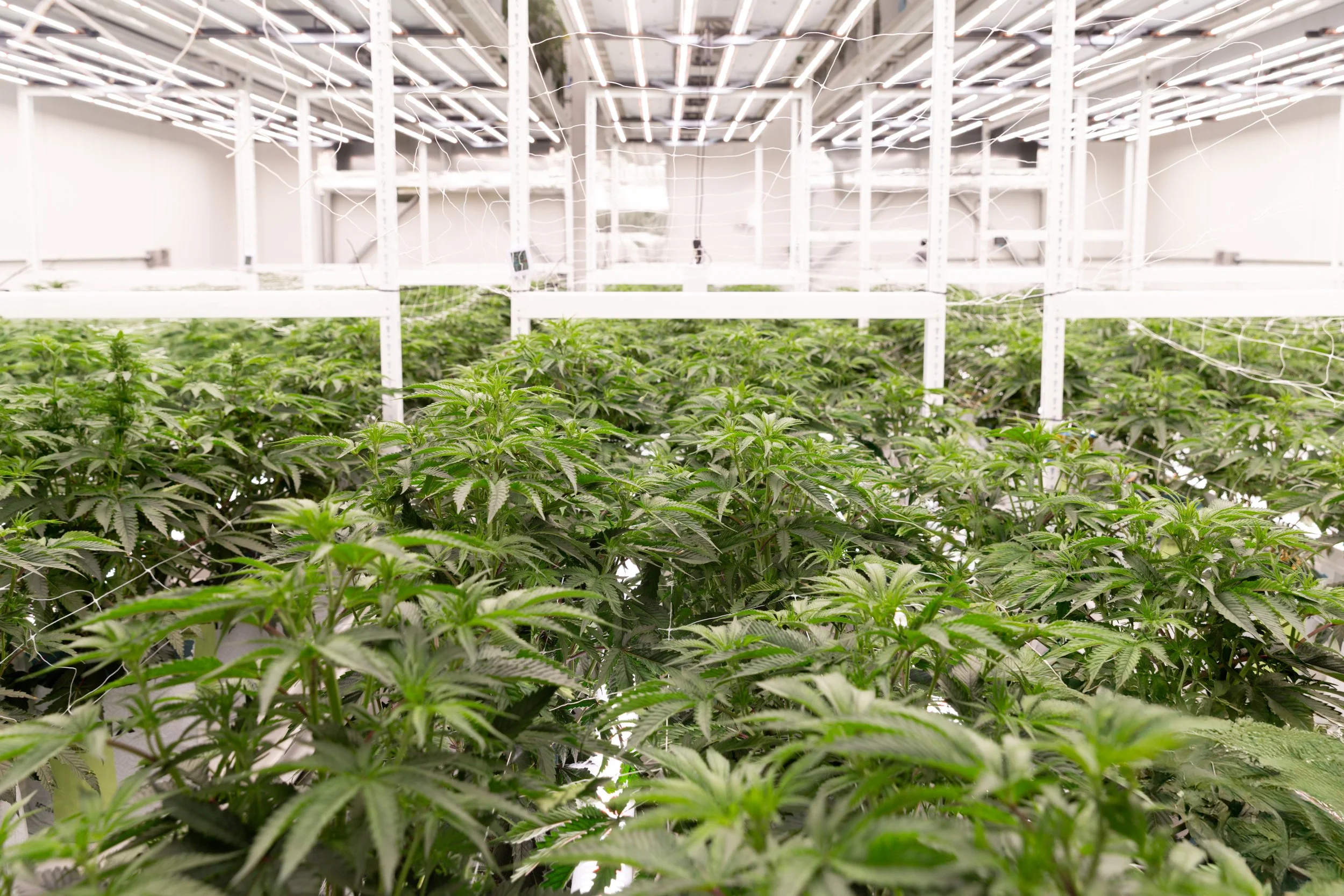 Grow04-2026-39.jpg