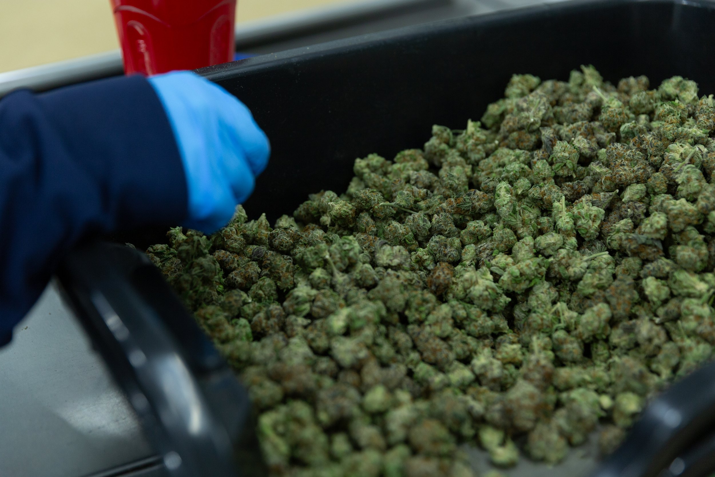 Grow04-2026-7.jpg