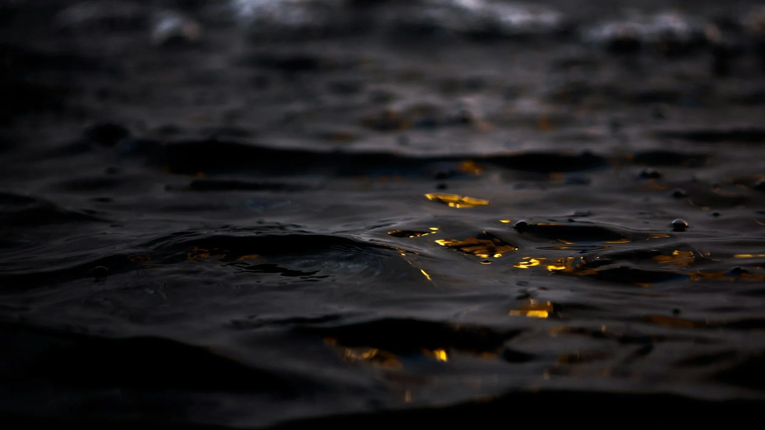Dark water with small ripples and reflections of golden light.