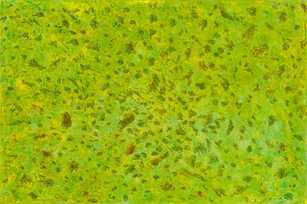 The Shallows