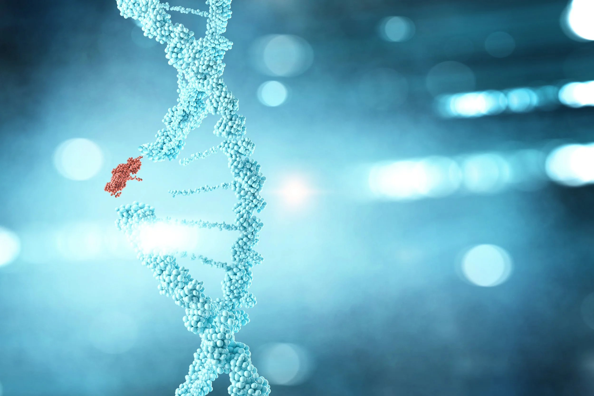 gene variant in dna helix