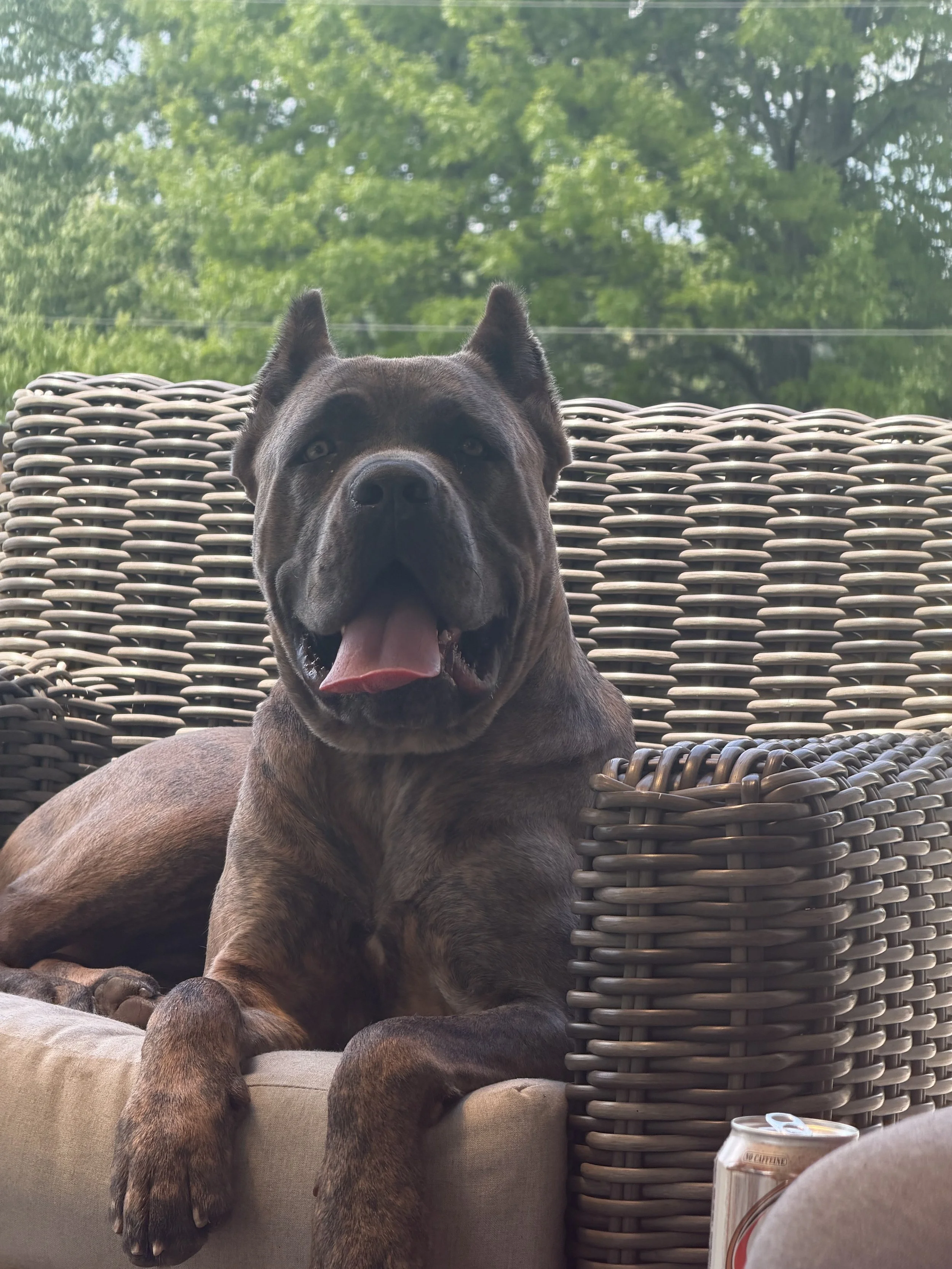 Lennon of MVK9