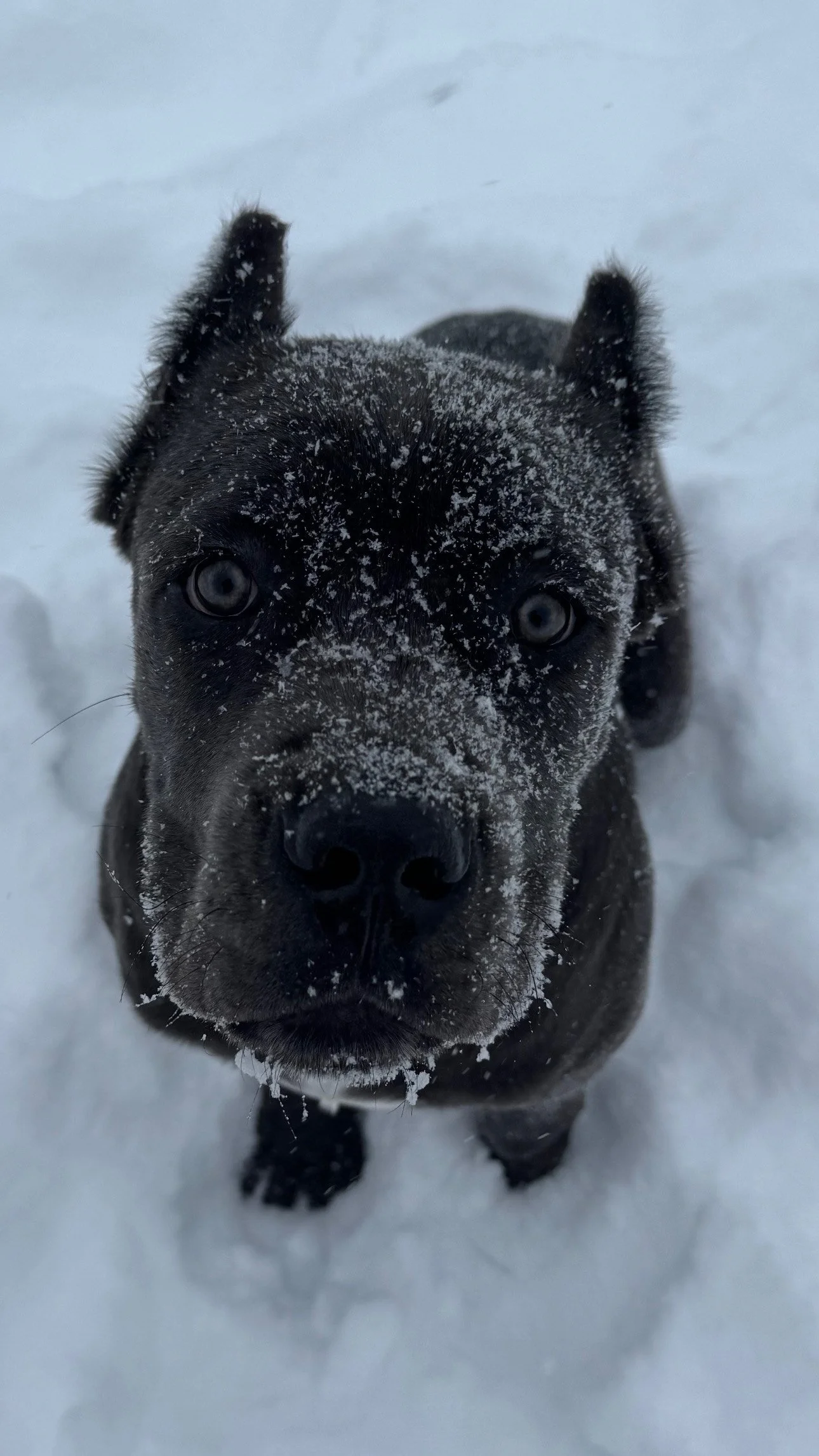 6A9AB131-56A6-4C30-9A3C-03629D65A5FD.jpeg