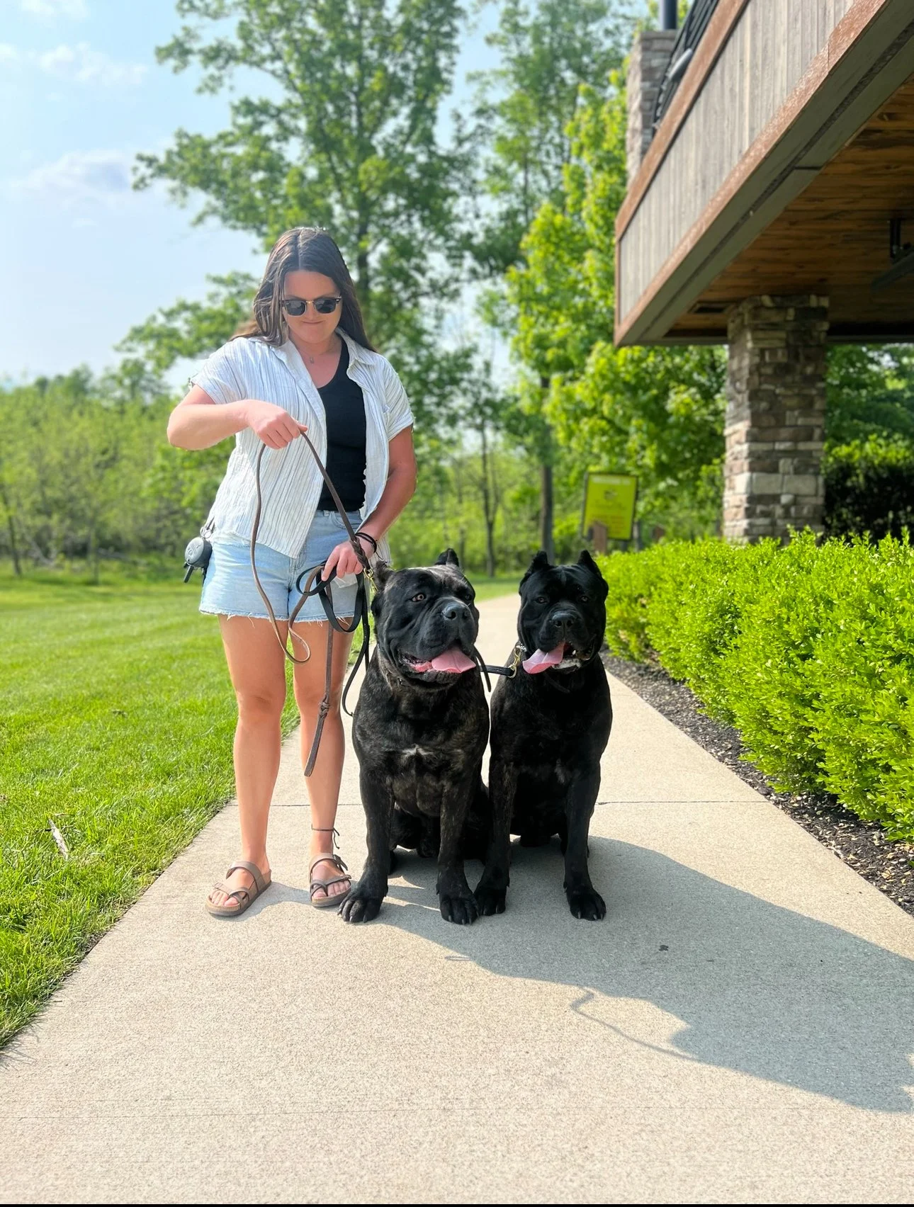 Henry & James of MVK9