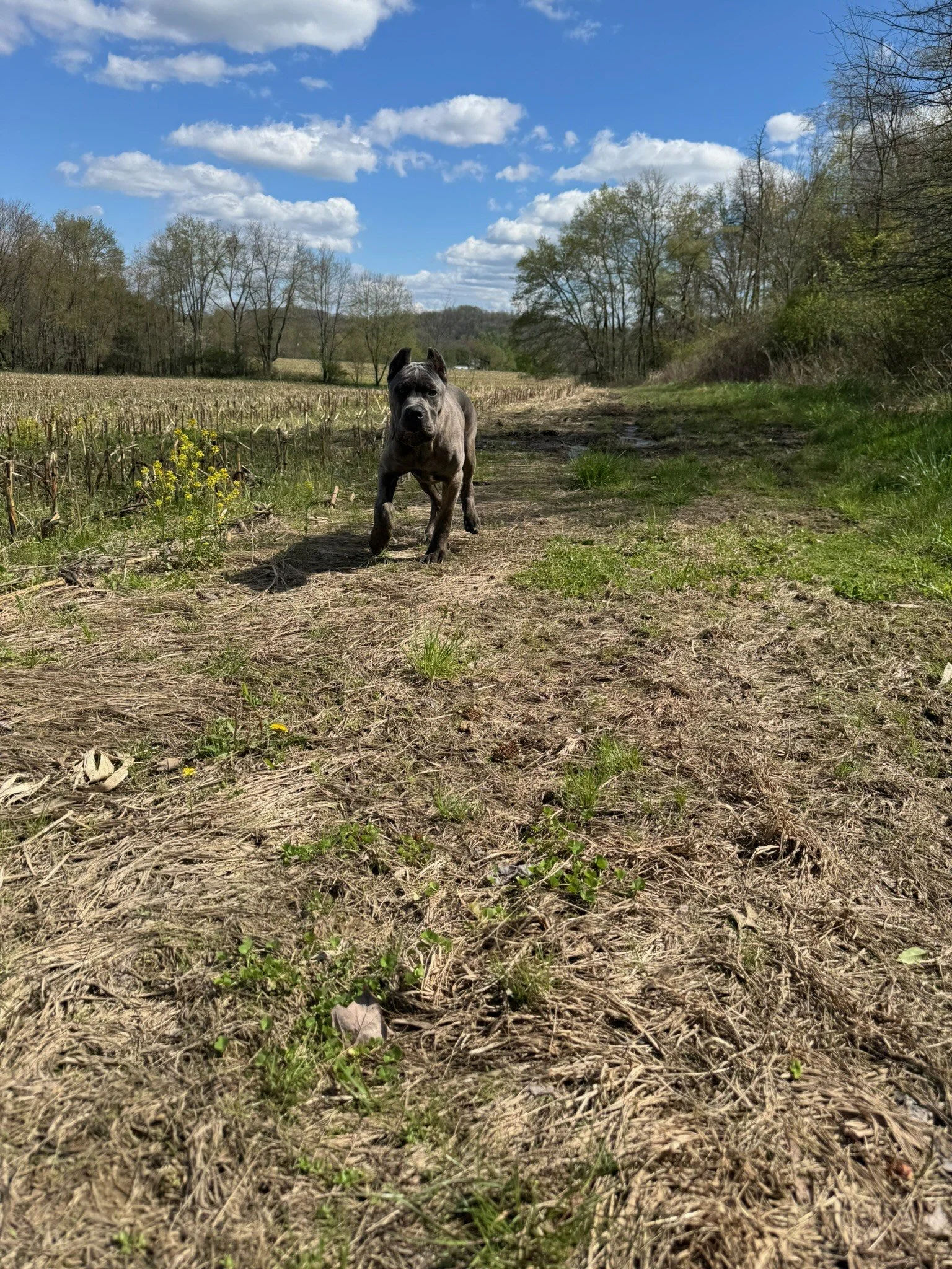IMG_9079.jpeg
