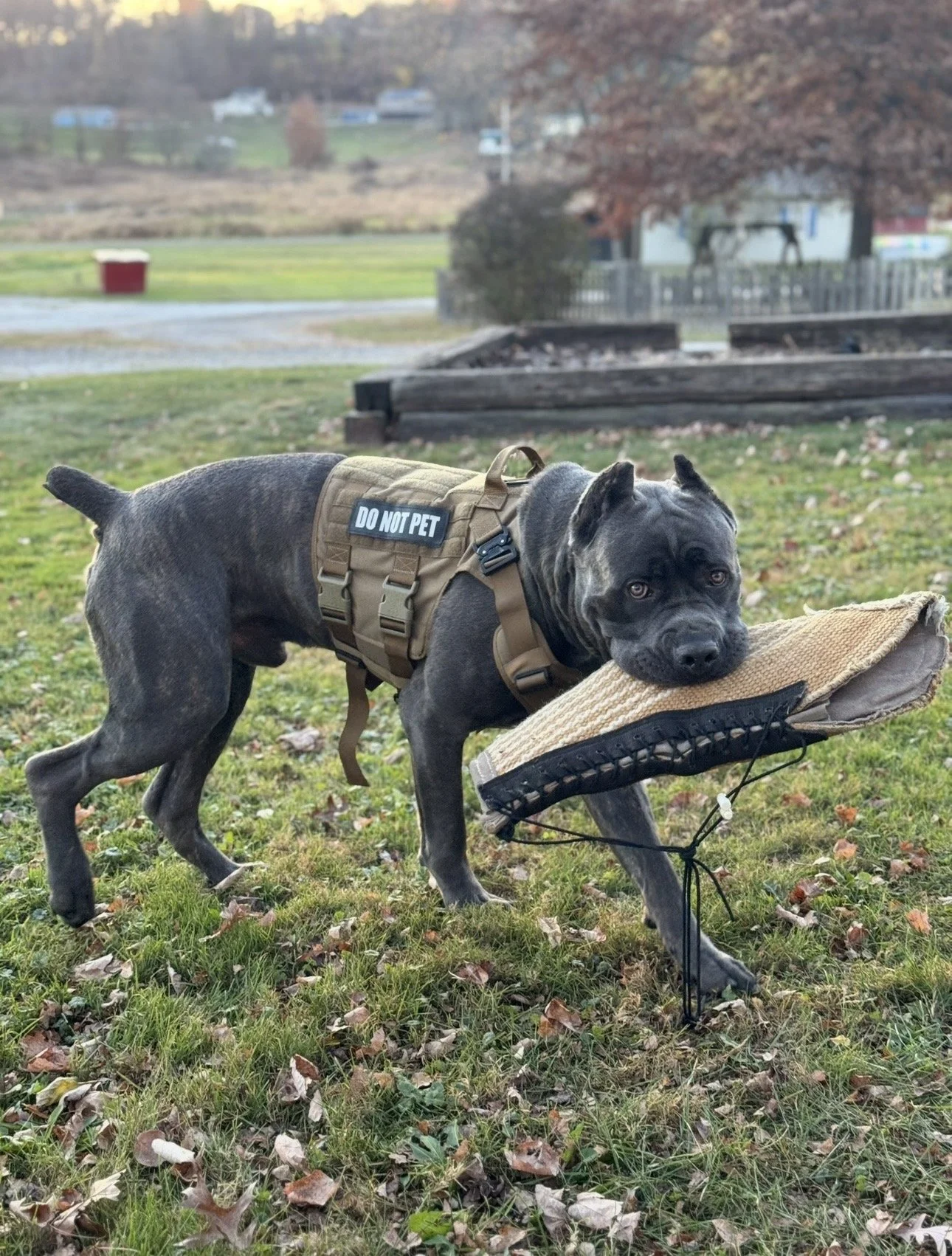 McClintock of MVK9.jpg