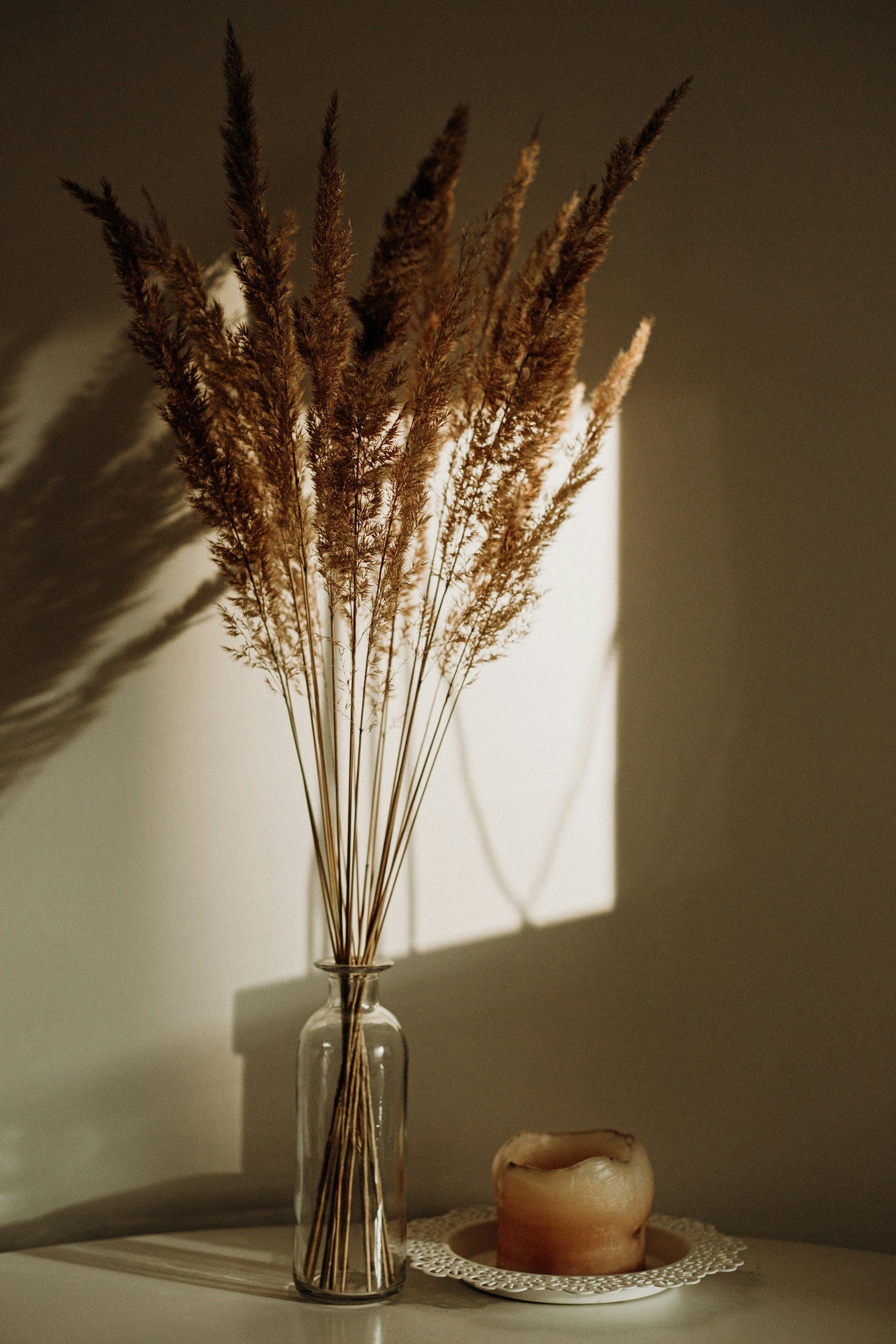 A glass vase with dried pampas grass on a surface, casting shadows on the wall behind, next to a candle on a decorative doily.