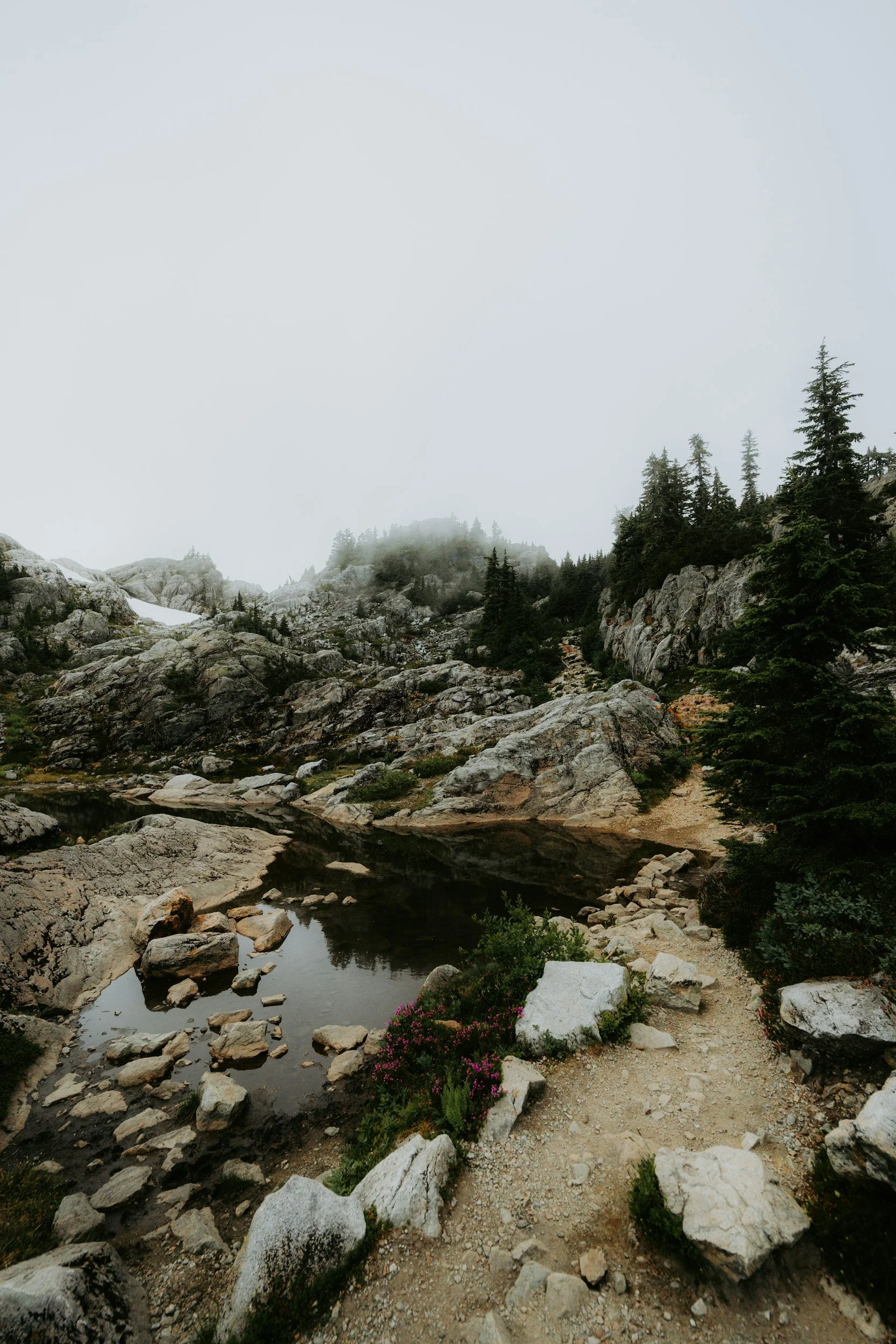 A rocky mountain trail next to a small pond surrounded by green vegetation and pine trees, with foggy clouds in the sky.