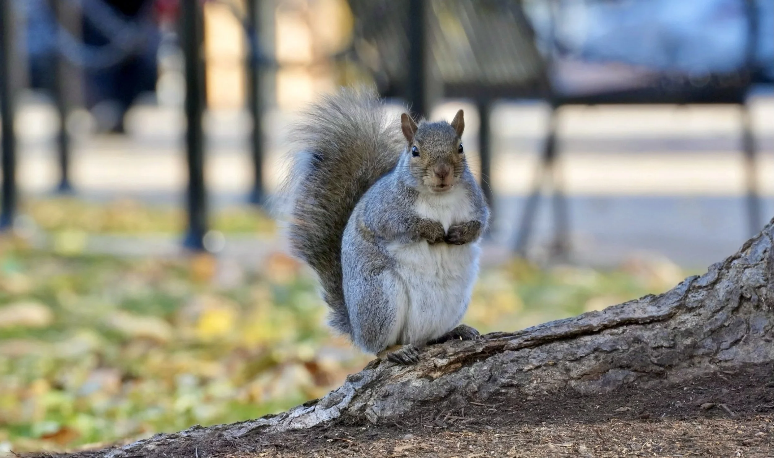 Lifestyle Photography