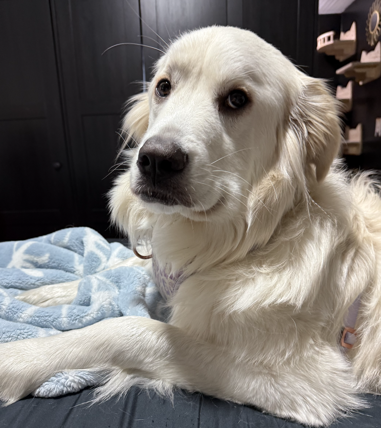 Screenshot 2026-04-10 at 10.25.31 PM.png