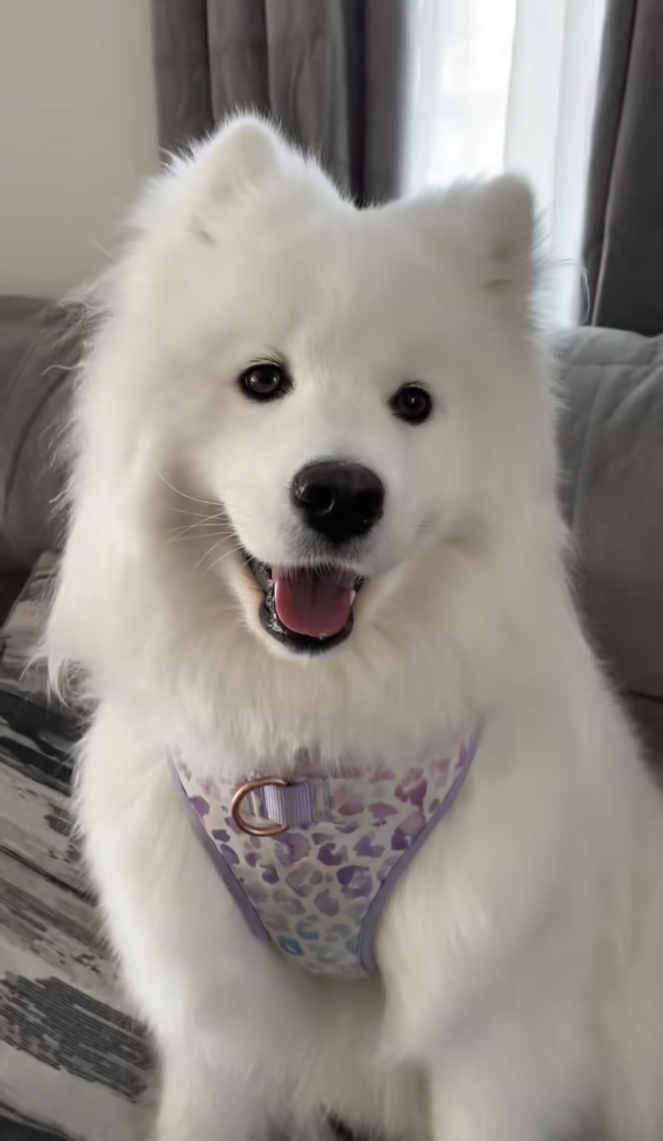 View recent photos.png