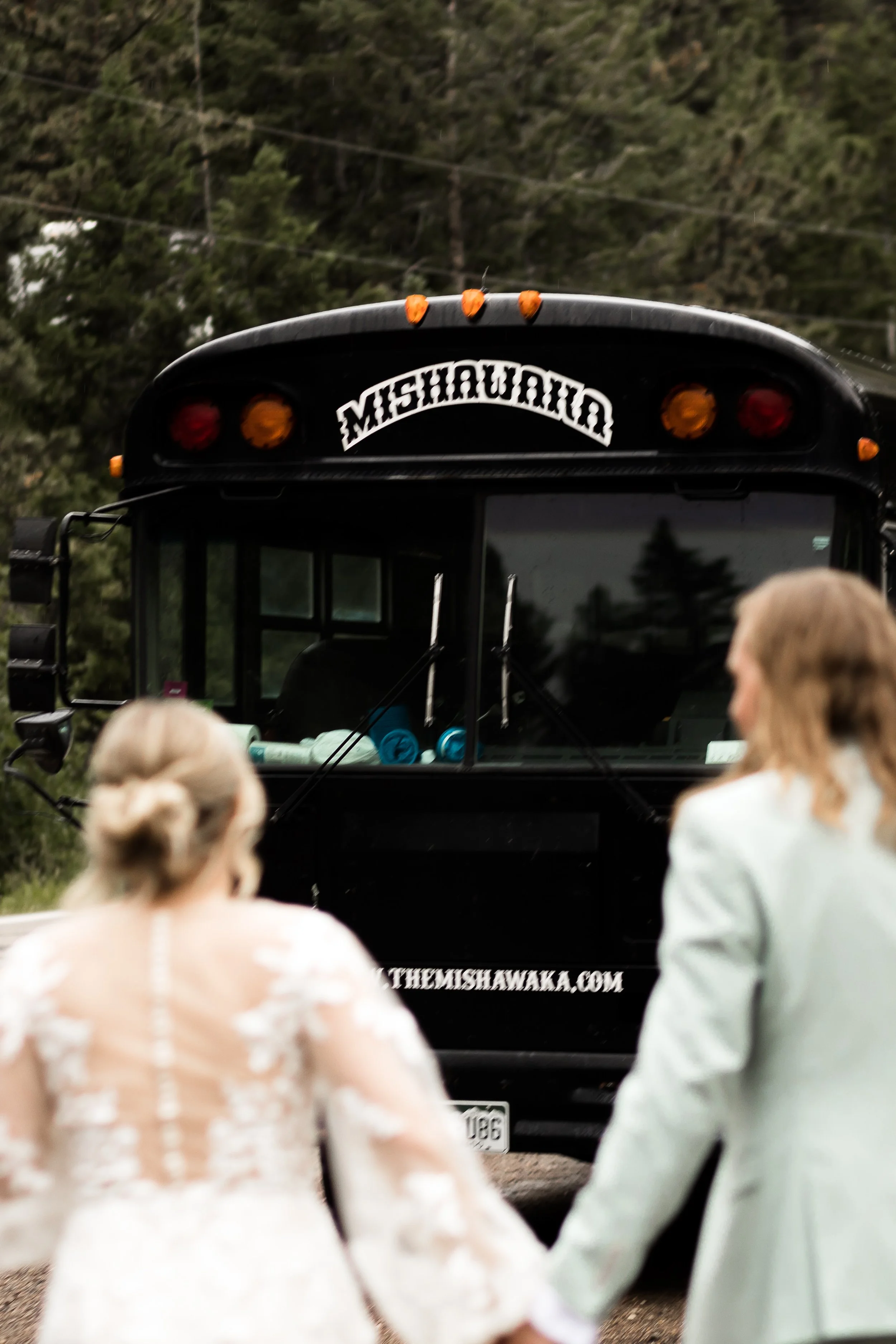 Amy and Nic Wedding Mishawaka Amphitheater Forest Picture Company-26010.jpg