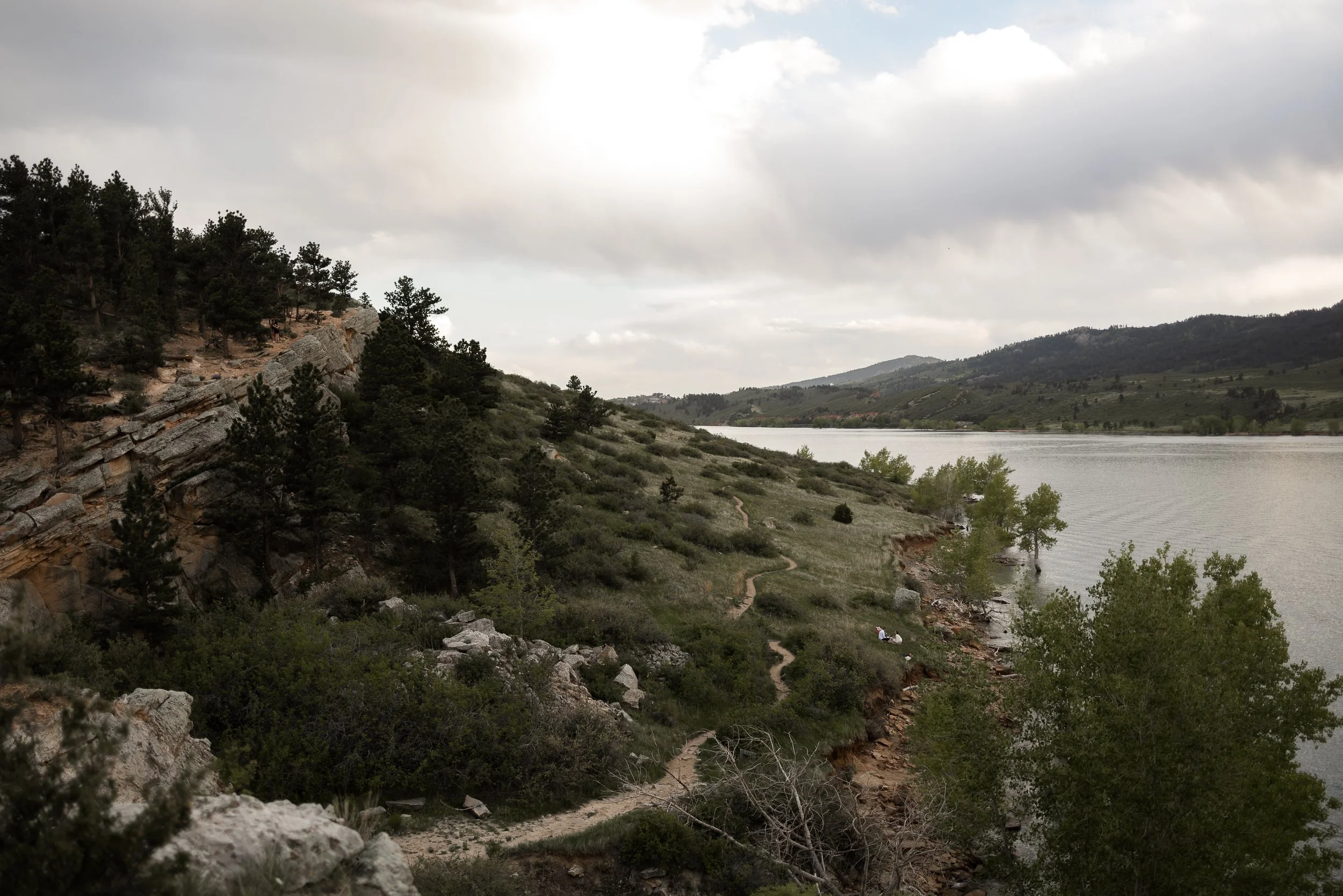 Savanna and Eli Engagement Forest Picture Company-37.jpg