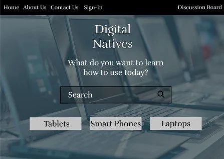 Picture of Digital Natives wireframe