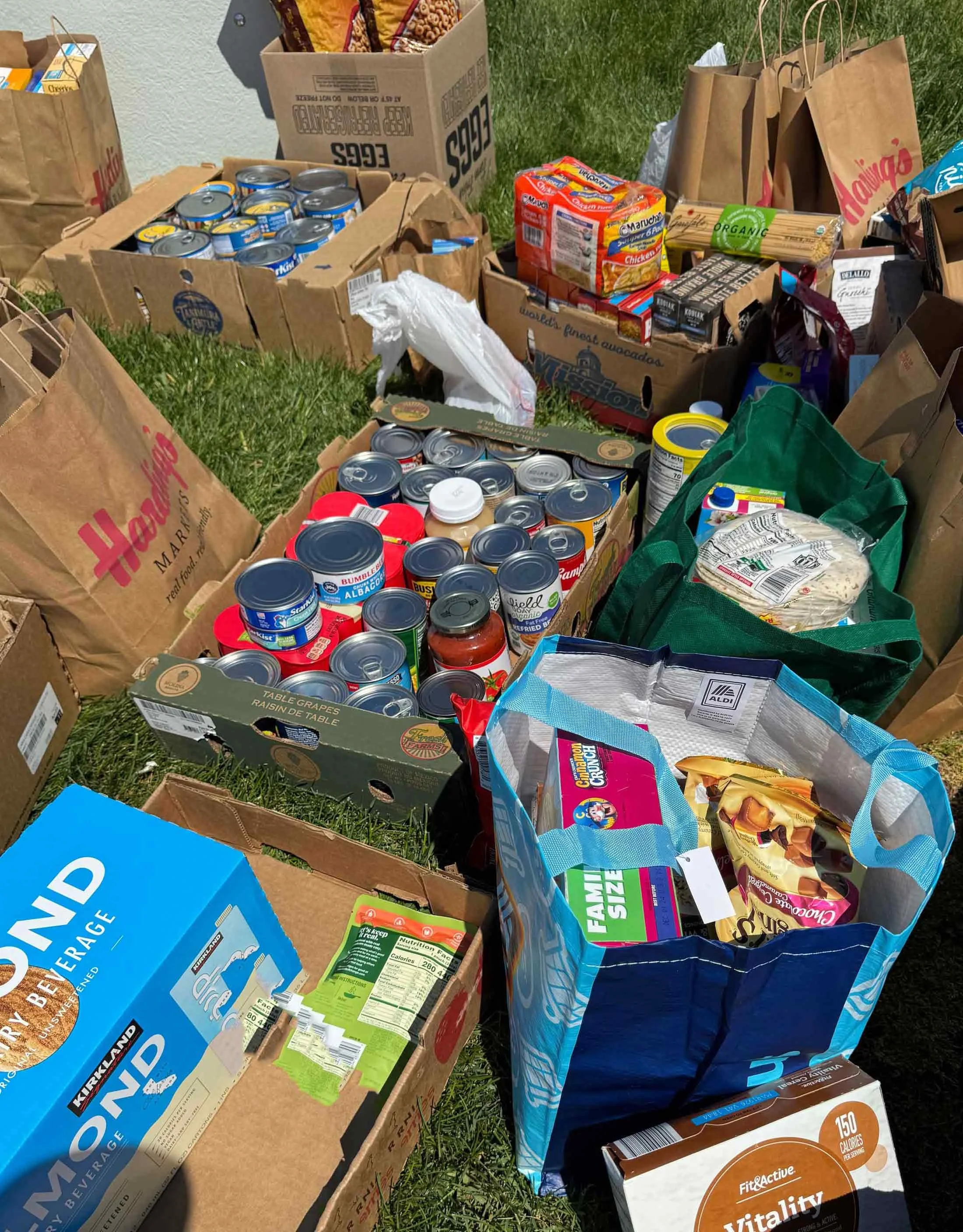 A collection of food donations for mutual aid.