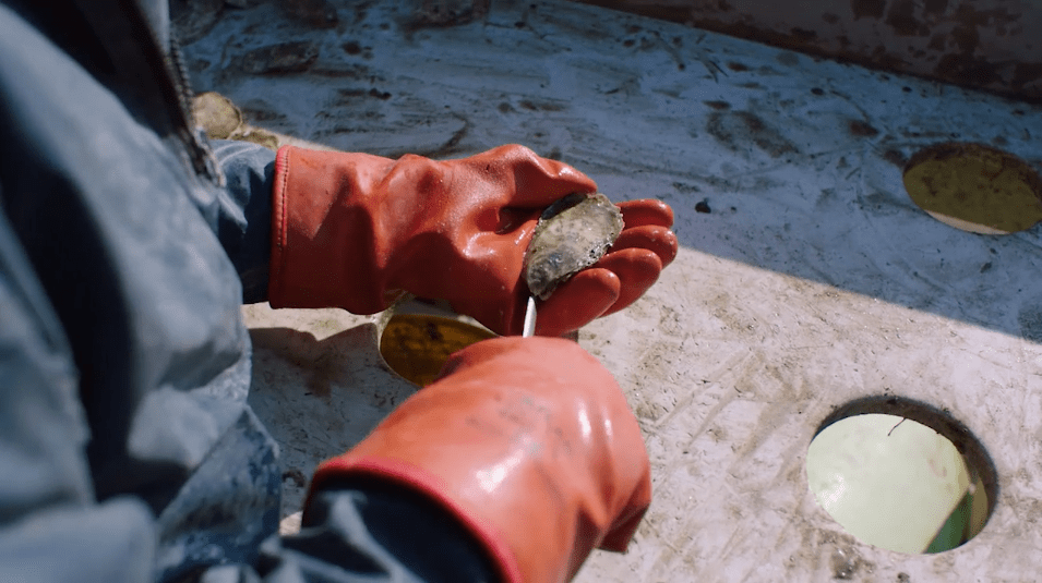 Screen+Shot+2021-04-29+at+4.59.37+PM (1).webp