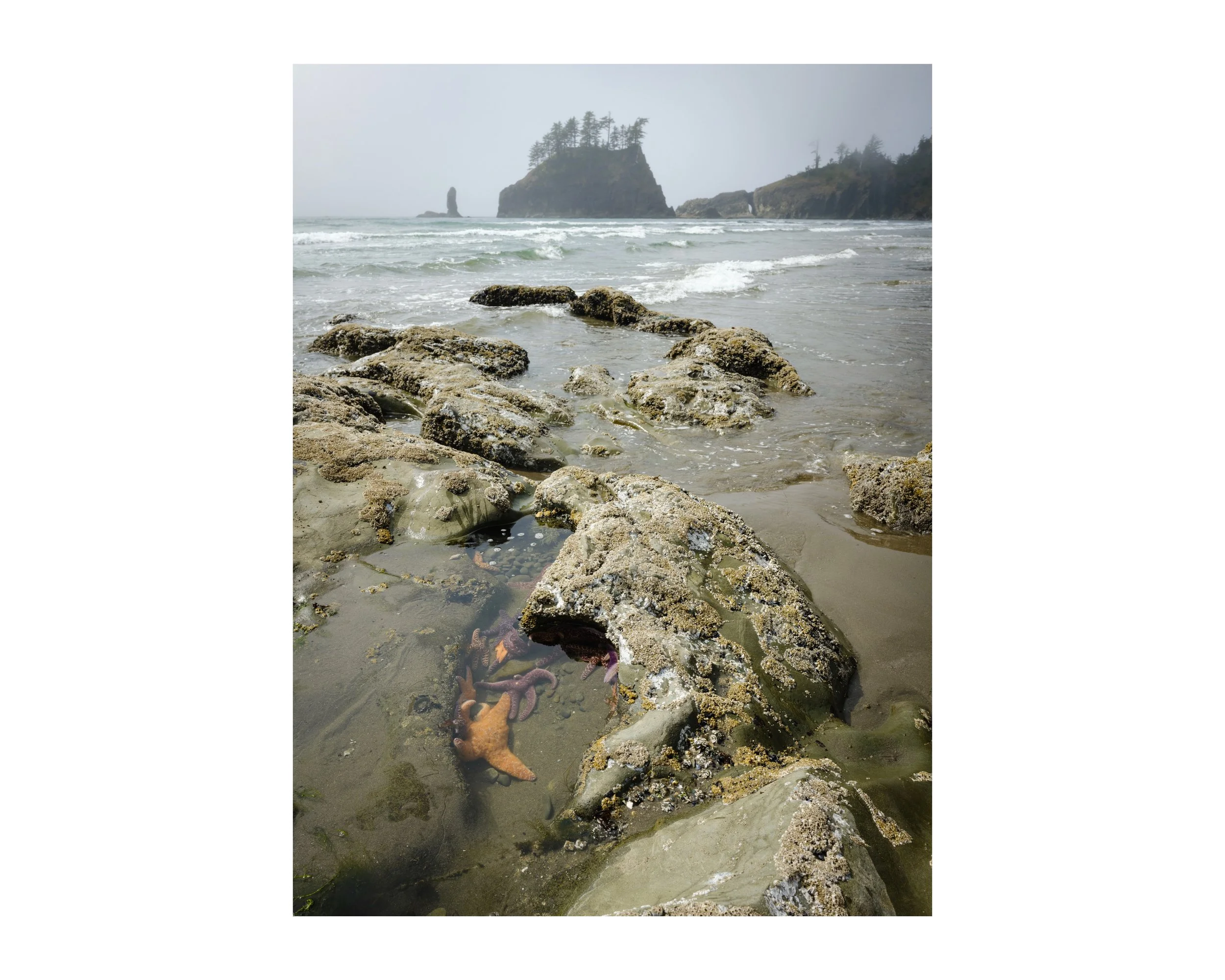 DSCF0624 87 Edited.jpeg