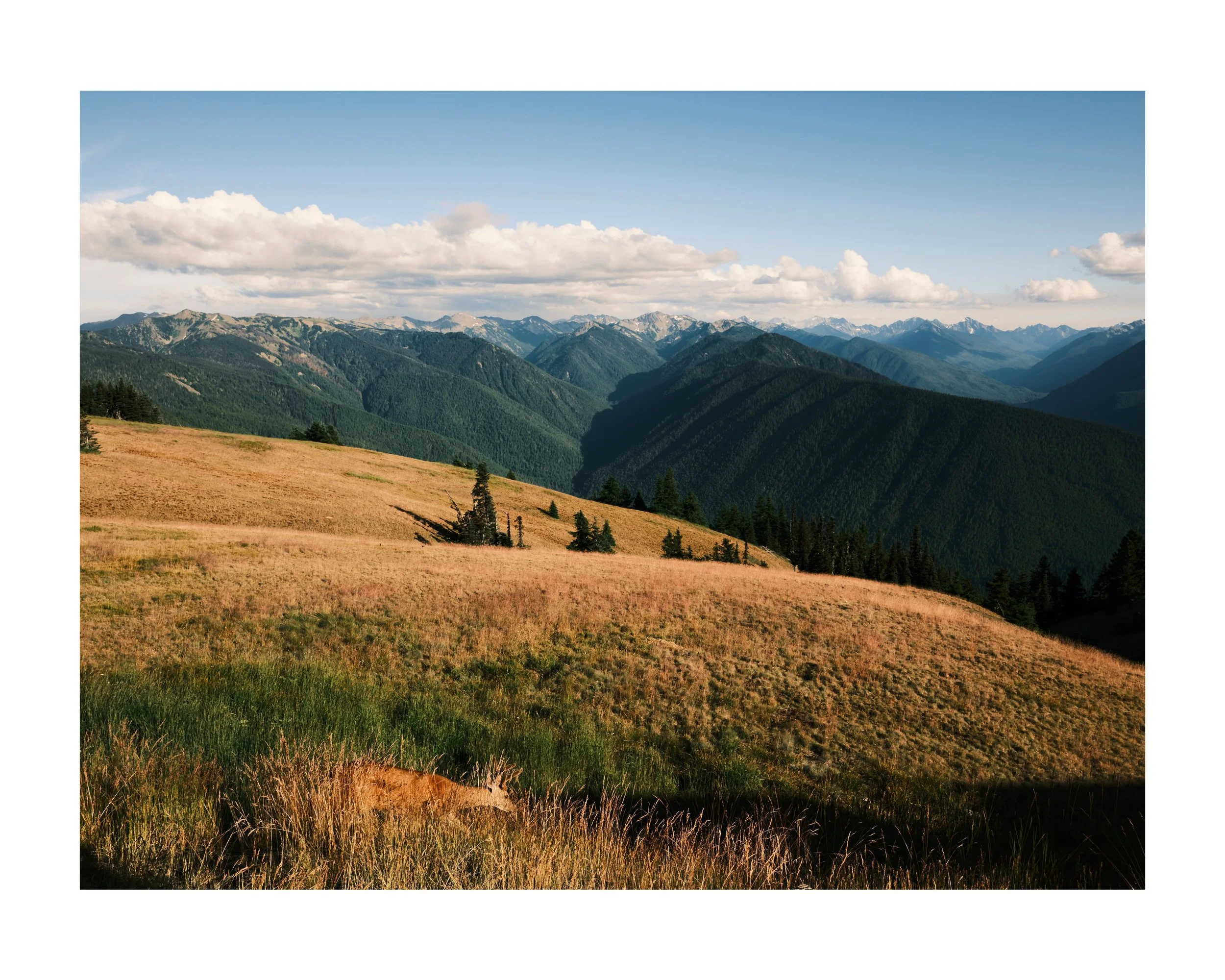 DSCF0679 103 Edited.jpeg