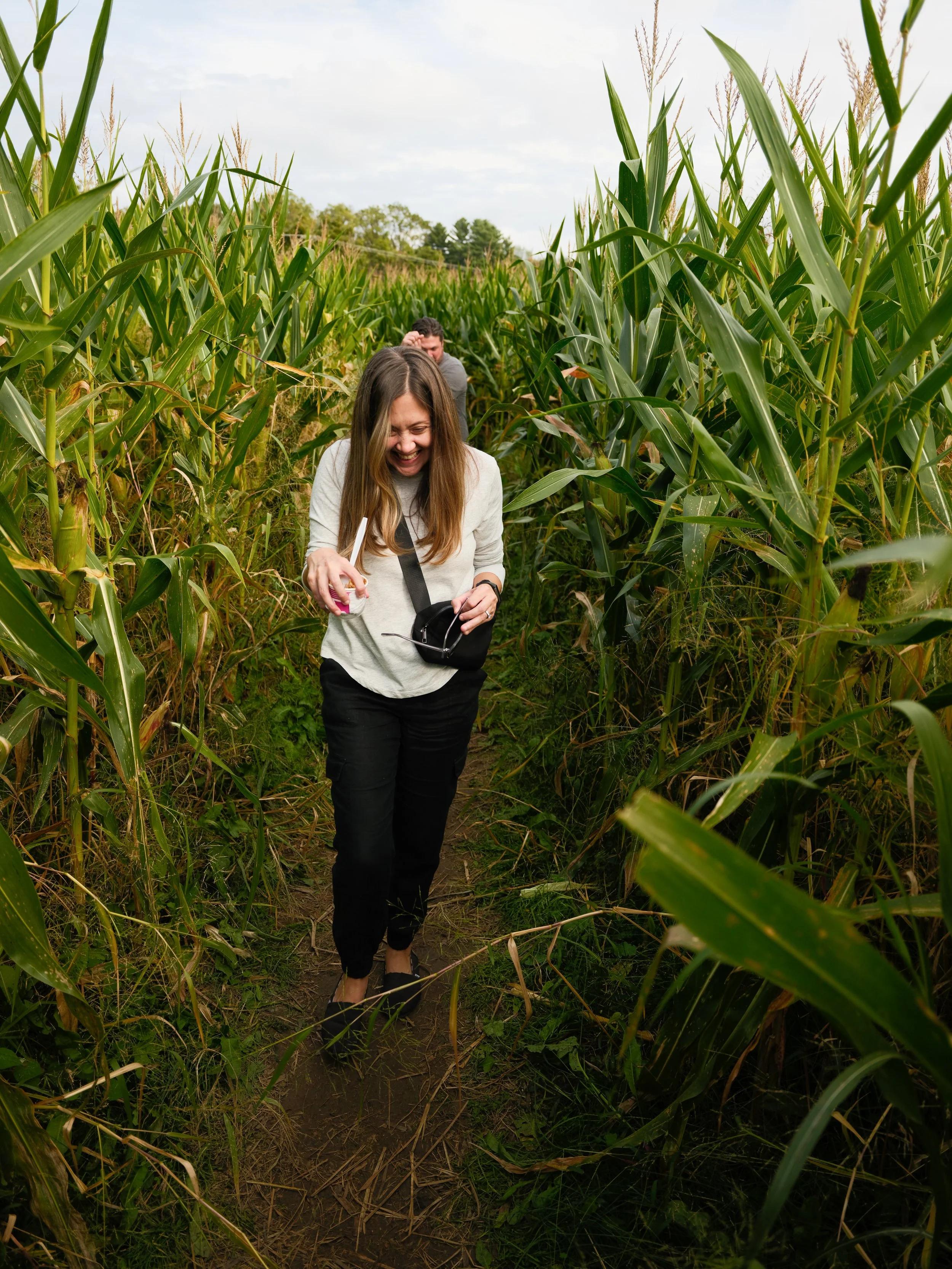Corn Maze