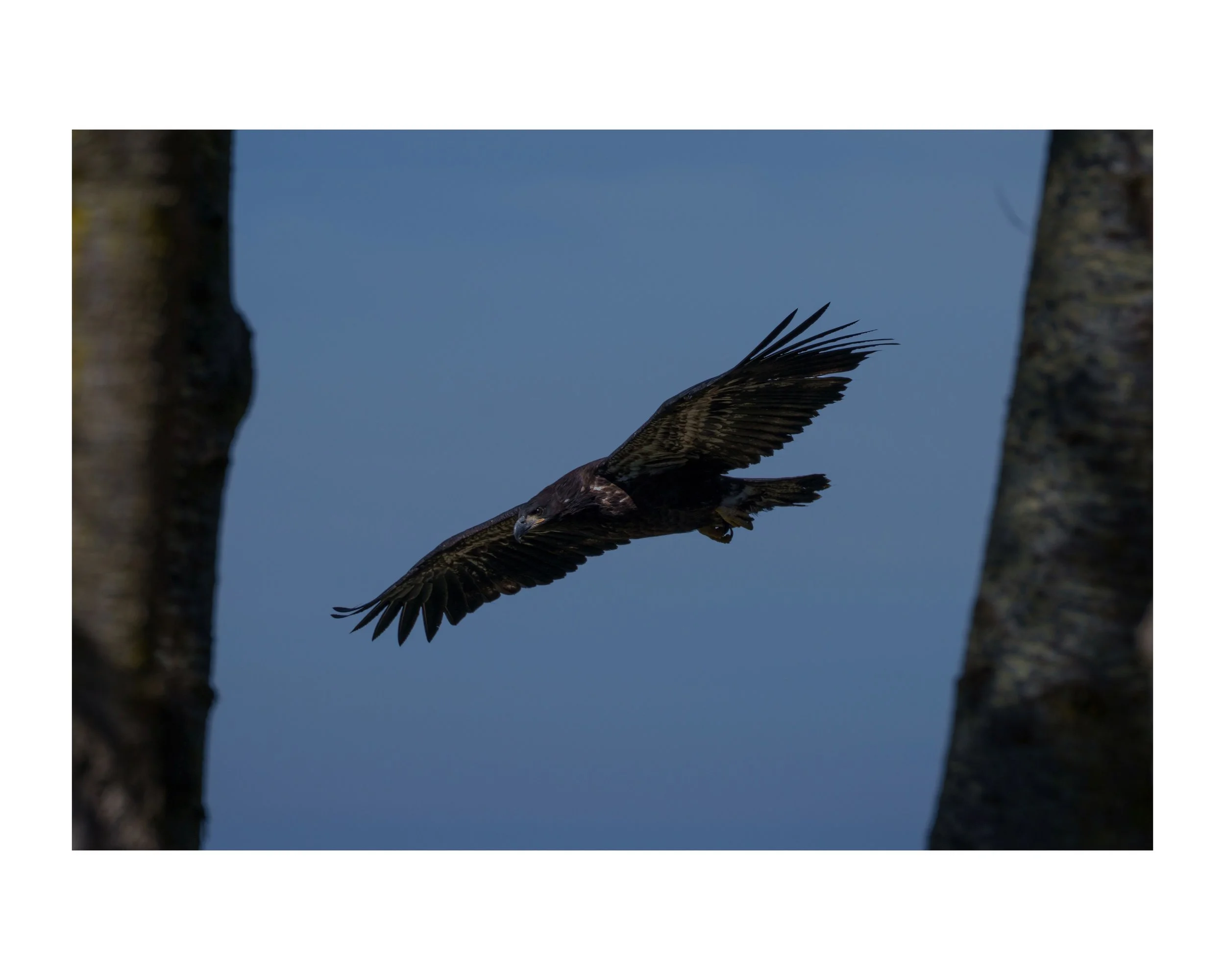 _DSC0715 97 Edited.jpeg