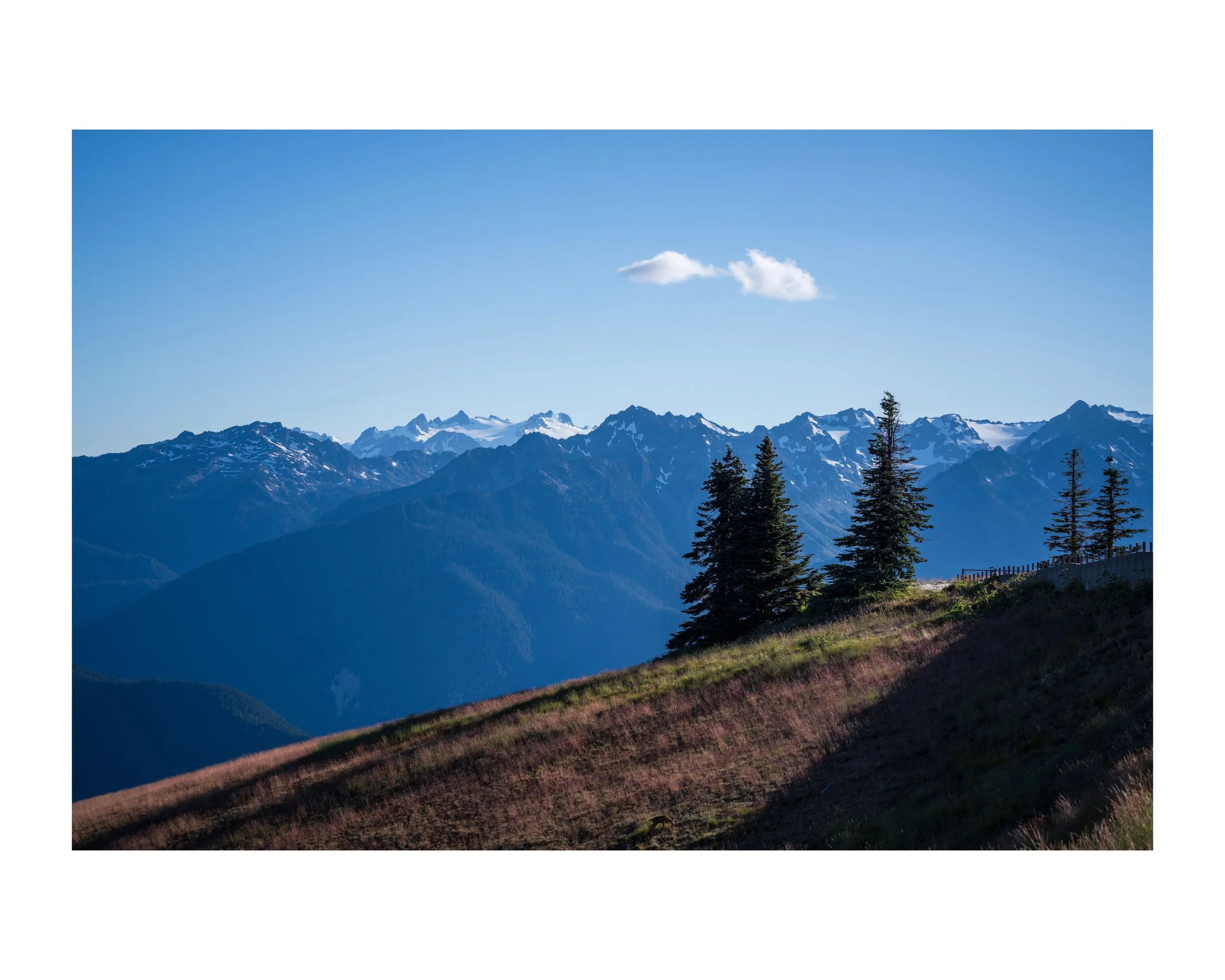 _DSC0751 105 Edited.jpeg